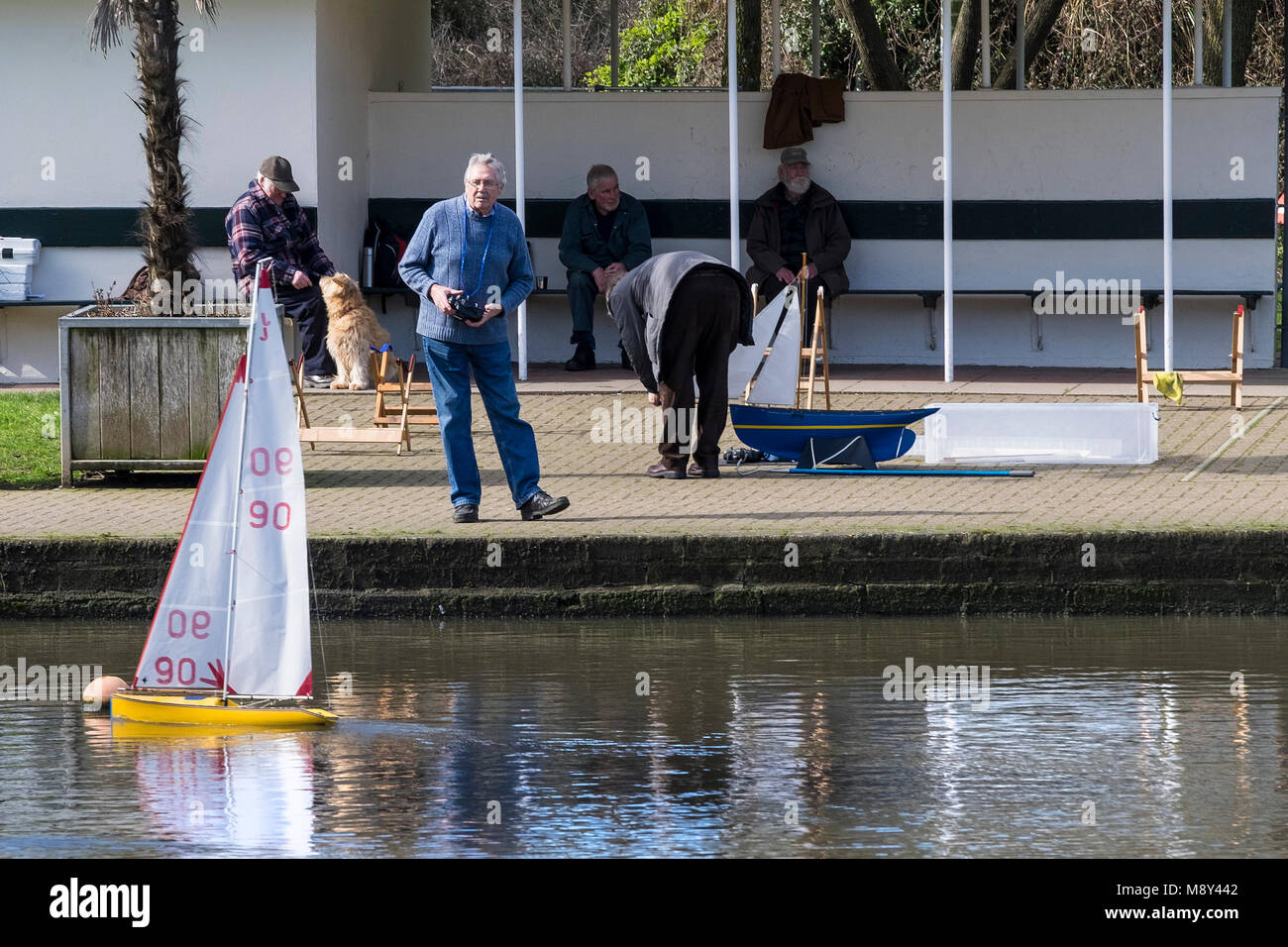 Ein Mitglied der Newquay Modell Yacht Club an trenance See zum Bootfahren controlling sein Modell Racing Yacht Newquay Cornwall. Stockfoto