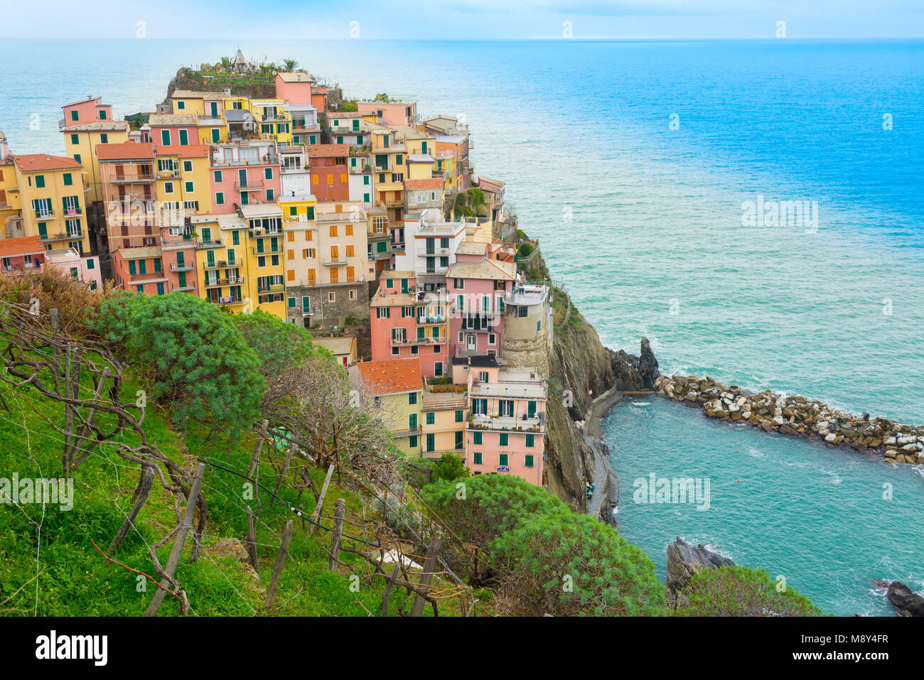 Die kleinen, traditionellen italienischen Dorf Manarola mit bunten Häusern und Weinberge heute ein beliebtes Reiseziel in Cinque Terre, Ligurien, Italien Stockfoto