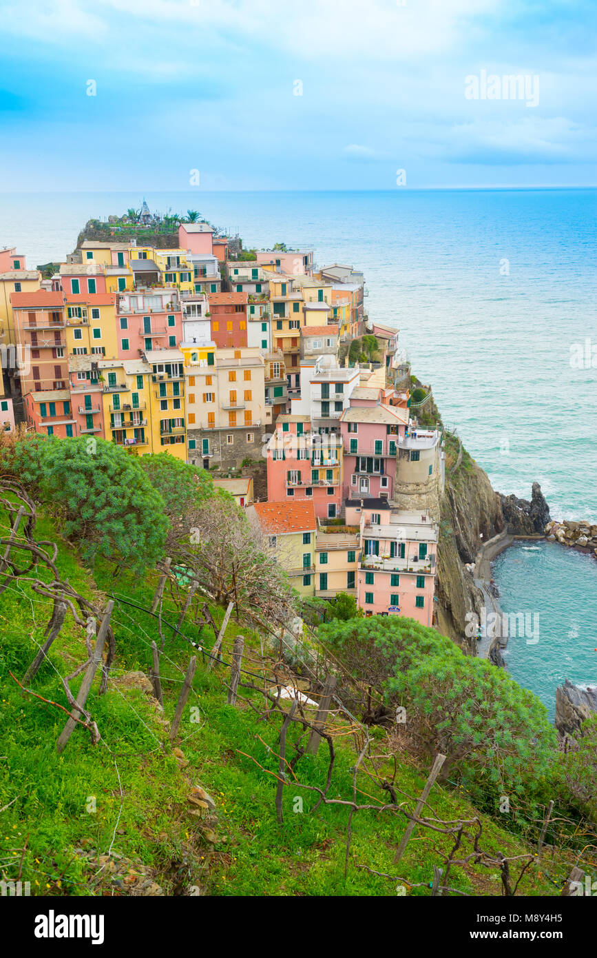 Die kleinen, traditionellen italienischen Dorf Manarola mit bunten Häusern und Weinberge heute ein beliebtes Reiseziel in Cinque Terre, Ligurien, Italien Stockfoto