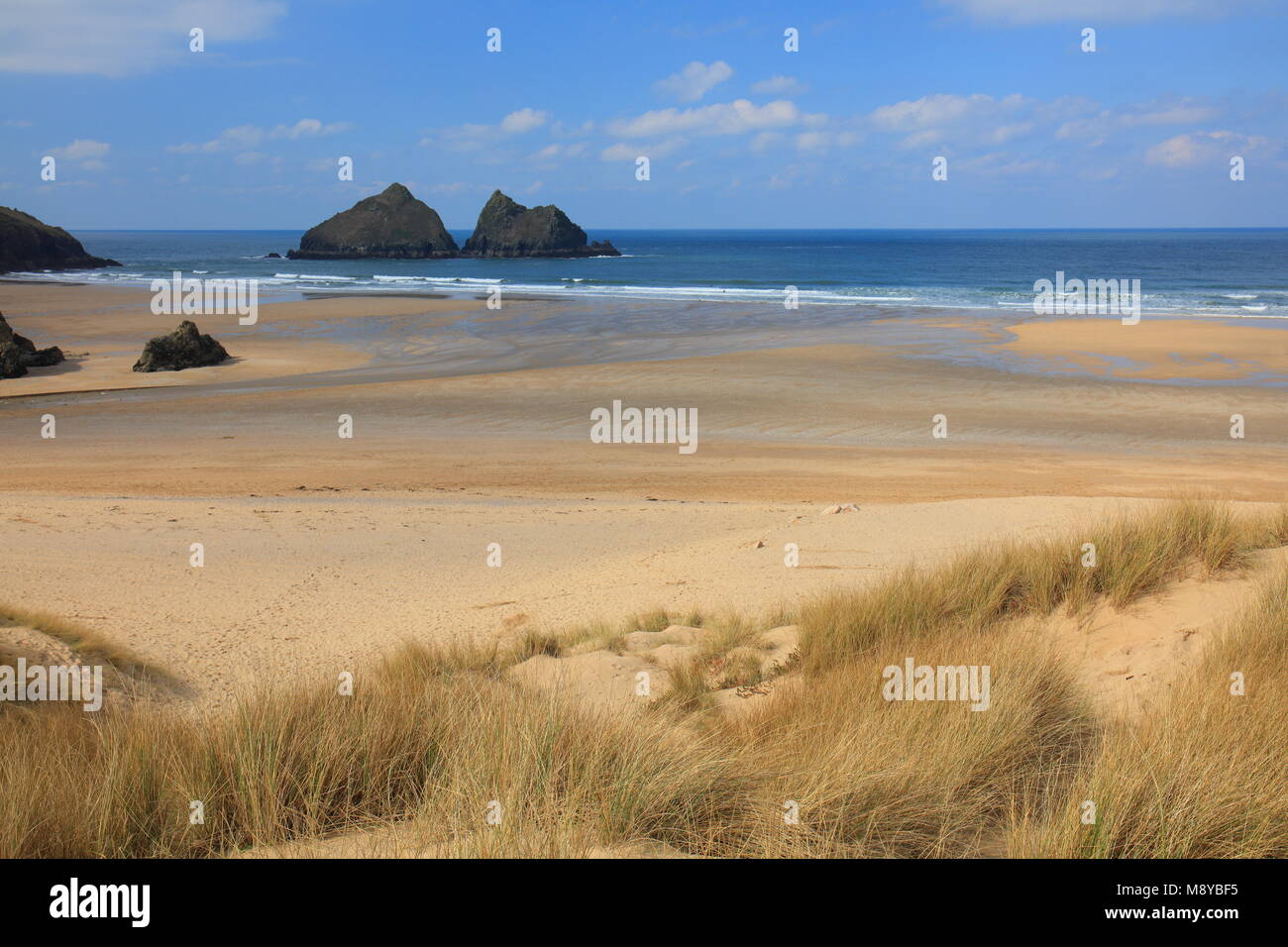 Frühling in Holywell Bay, North Cornwall, England, Großbritannien Stockfoto