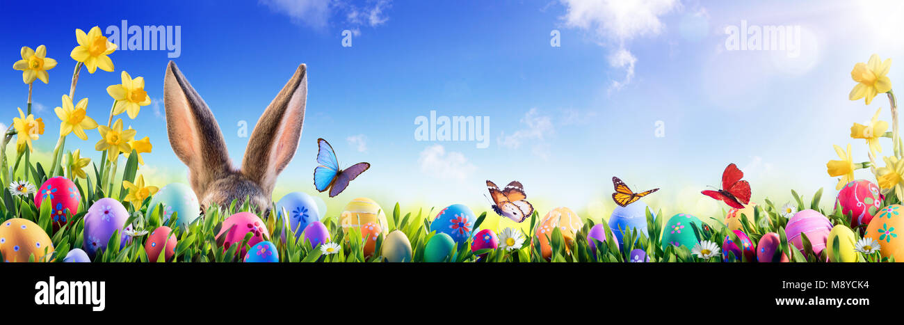 Ostern - Hase und dekorierte Eier in blumigen Feld Stockfoto