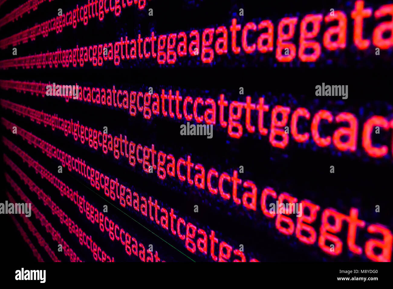 Genomsequenzierung. Die Entschlüsselung der DNA-Code, schreiben die Abfolge der Basen. Stockfoto