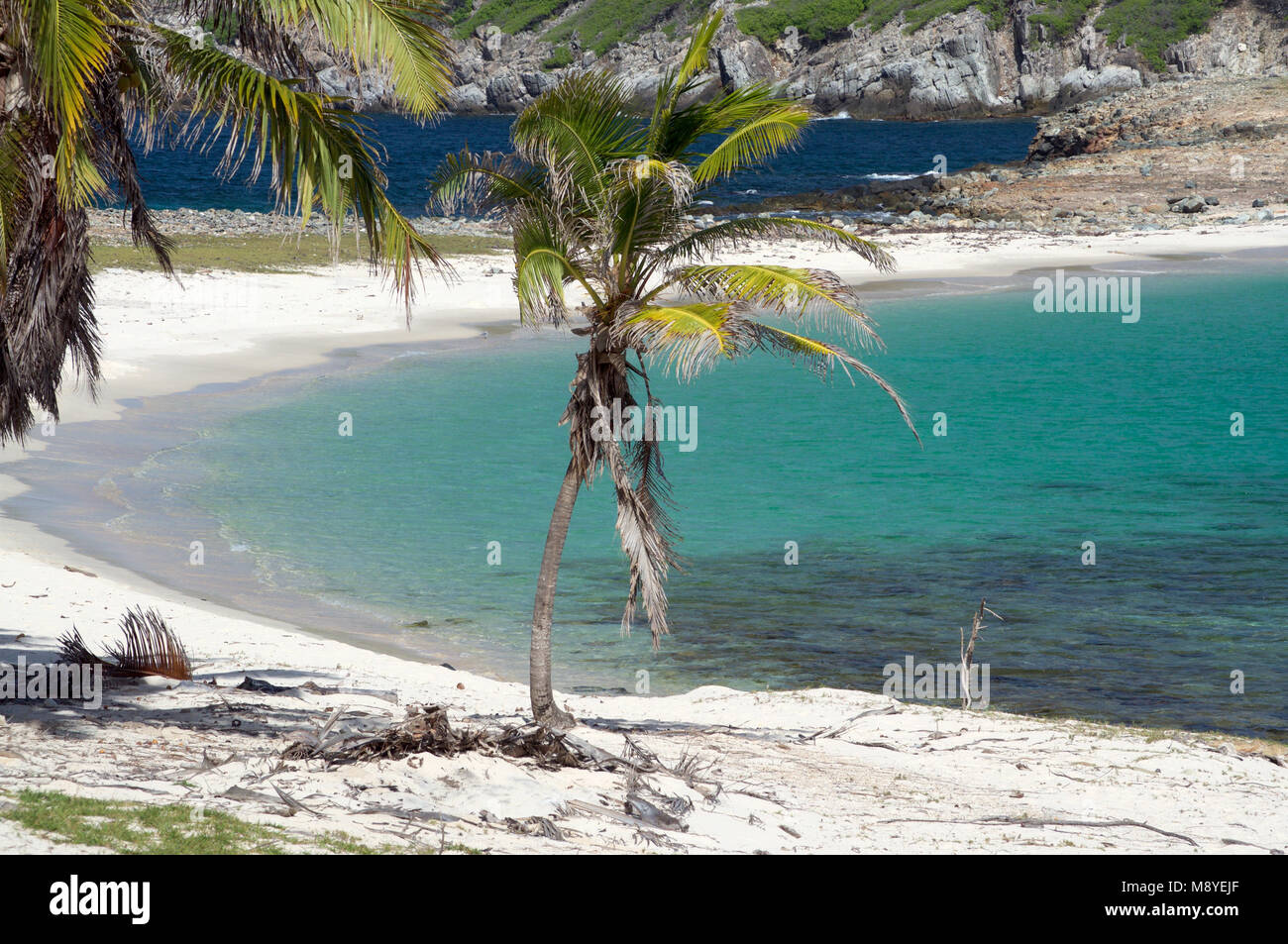Wunderschöne Karibische Inseln, Inselgruppe Los Testigos, Mar Caribe, Venezuela Stockfoto