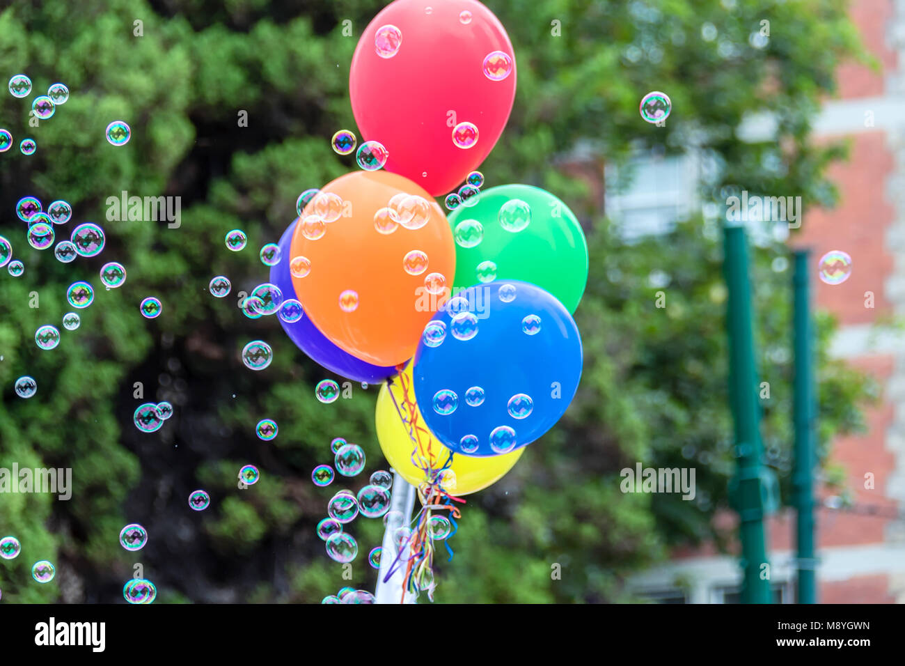 Bunte Seifenblasen und Luftballons mit Bänder der Regenbogen Farbe auf einem unscharfen Hintergrund der grünen Bäume und Büsche in der Stadt im Laufe des Tages Stockfoto