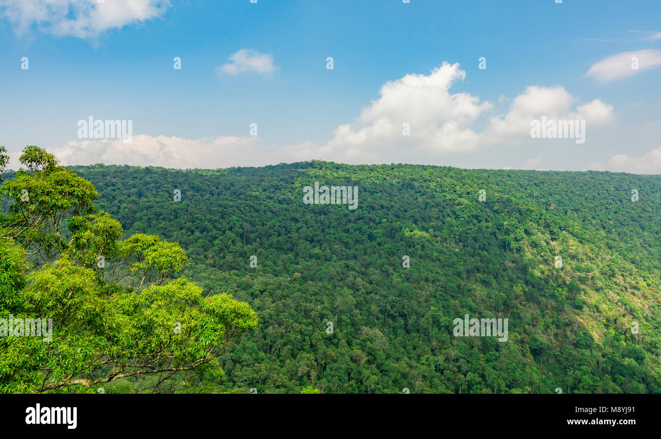 Schöne Aussicht auf den tropischen Regenwald Pha Diao Dai Klippen von Khao Yai Nationalpark in Thailand. Weltkulturerbe. Grün dichte hohe Bäume auf dem moun Stockfoto