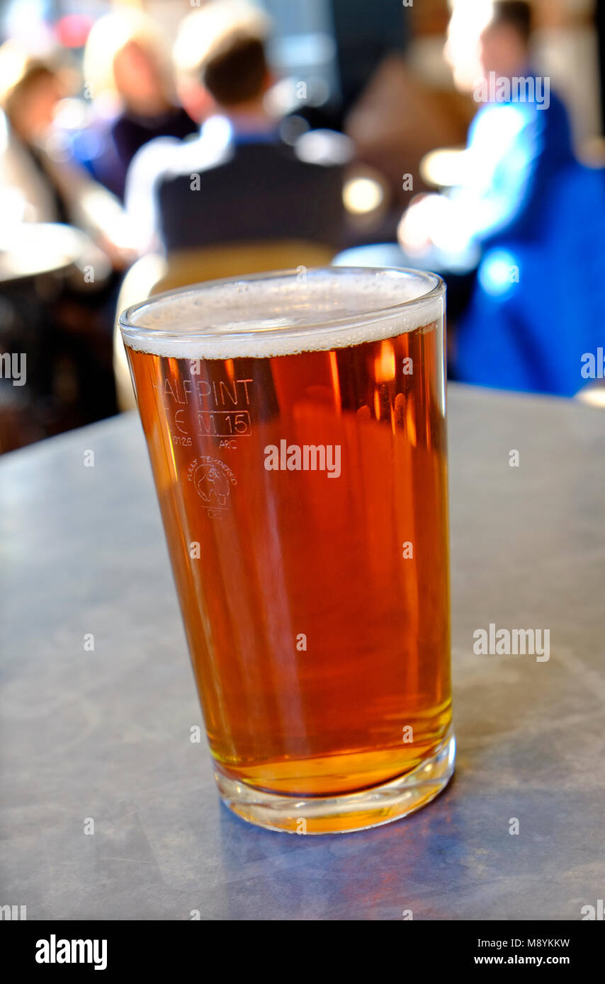 Halben Pint Bier im Pub Tabelle, Norwich, Norfolk, England Stockfoto
