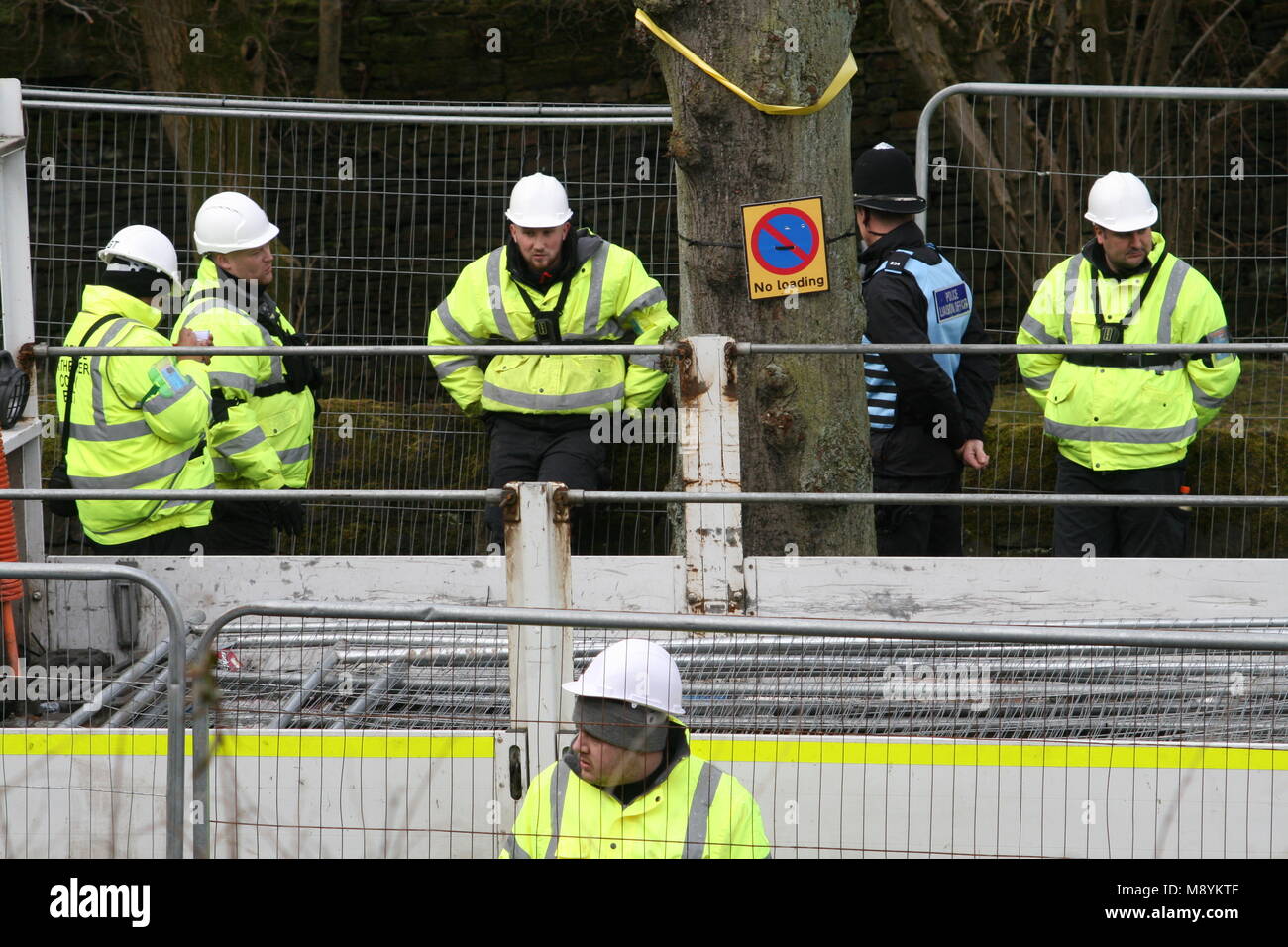 Sheffield umstrittene Baum einschlagsmengen Schwere Polizei und Sicherheit Präsenz auf Fällung eines Baumes auf rivelin Valley Road Stockfoto