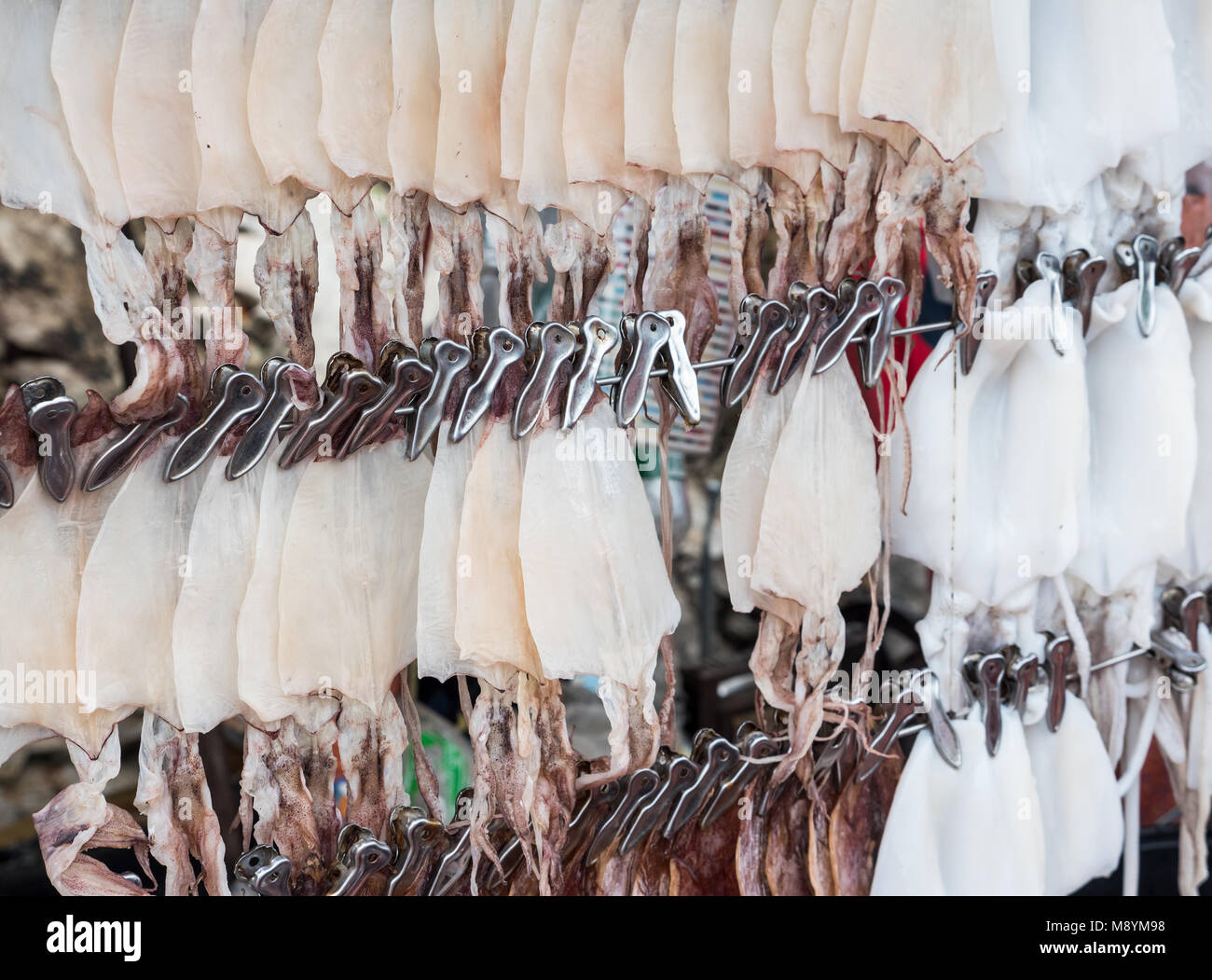 Frisch und trocken Squid hängt am Kabel mit der Zeile für den Verkauf an den Reisenden im lokalen Markt an der Ostküste Stadt, Thailand. Stockfoto