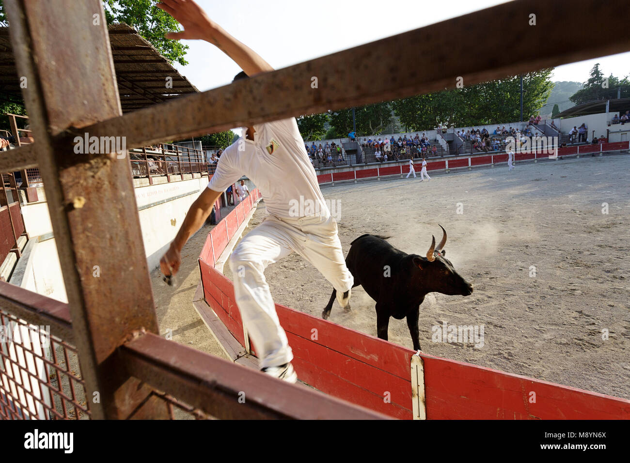 Matador springen auf rot Zaun von Stier in der Stierkampfarena von Bellegarde, Provence, Frankreich Stockfoto