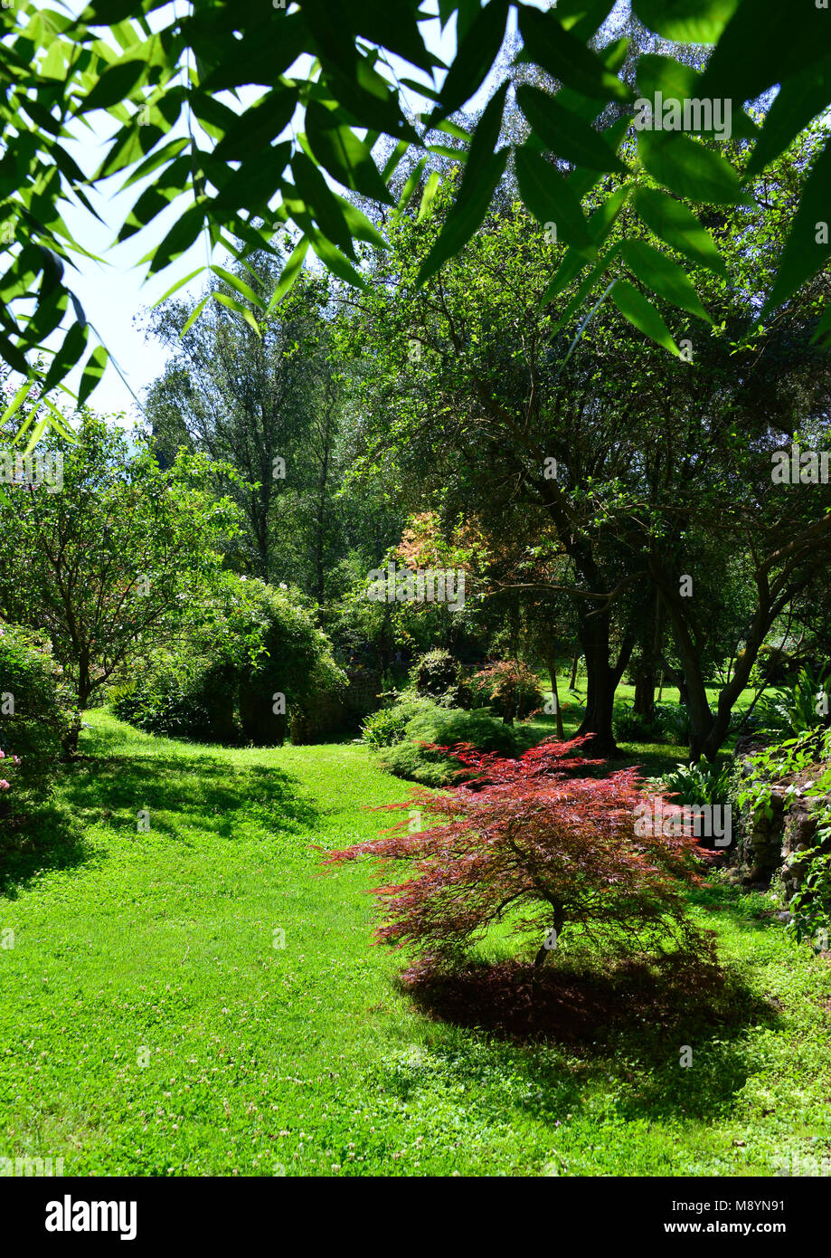 Garten von Ninfa - ein Naturdenkmal mit mittelalterlichen Ruinen in Stein, Blumen Park und ein ehrfürchtiges Torrent mit wenig fallen. Provinz Latina, Italien Stockfoto