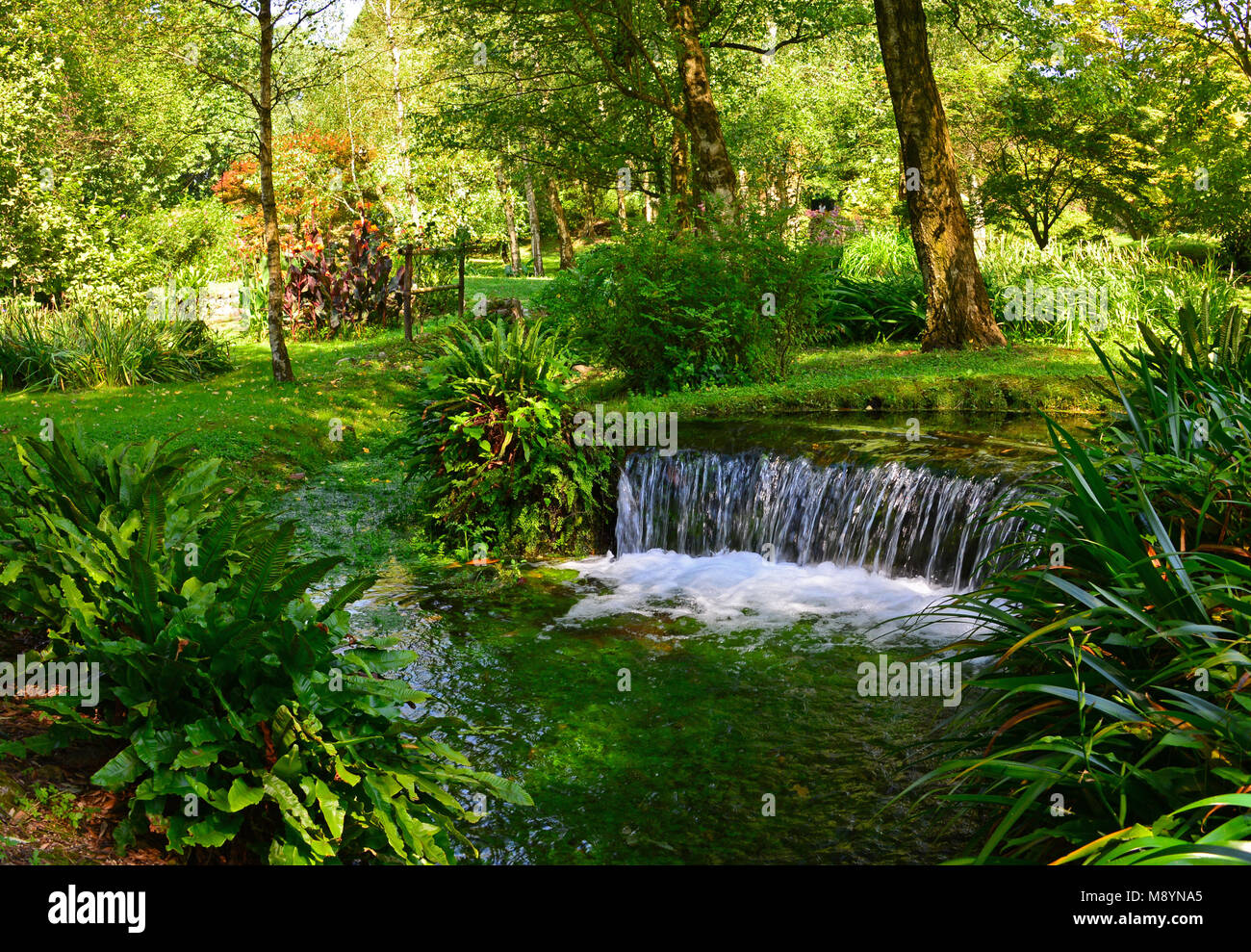 Garten von Ninfa - ein Naturdenkmal mit mittelalterlichen Ruinen in Stein, Blumen Park und ein ehrfürchtiges Torrent mit wenig fallen. Provinz Latina, Italien Stockfoto