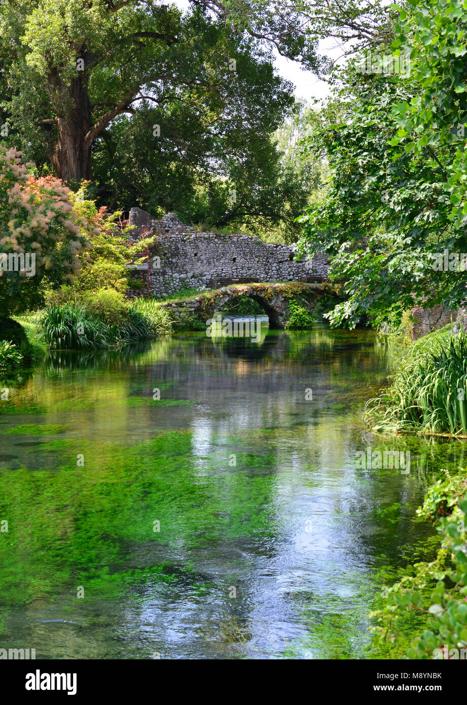 Garten von Ninfa - ein Naturdenkmal mit mittelalterlichen Ruinen in Stein, Blumen Park und ein ehrfürchtiges Torrent mit wenig fallen. Provinz Latina, Italien Stockfoto