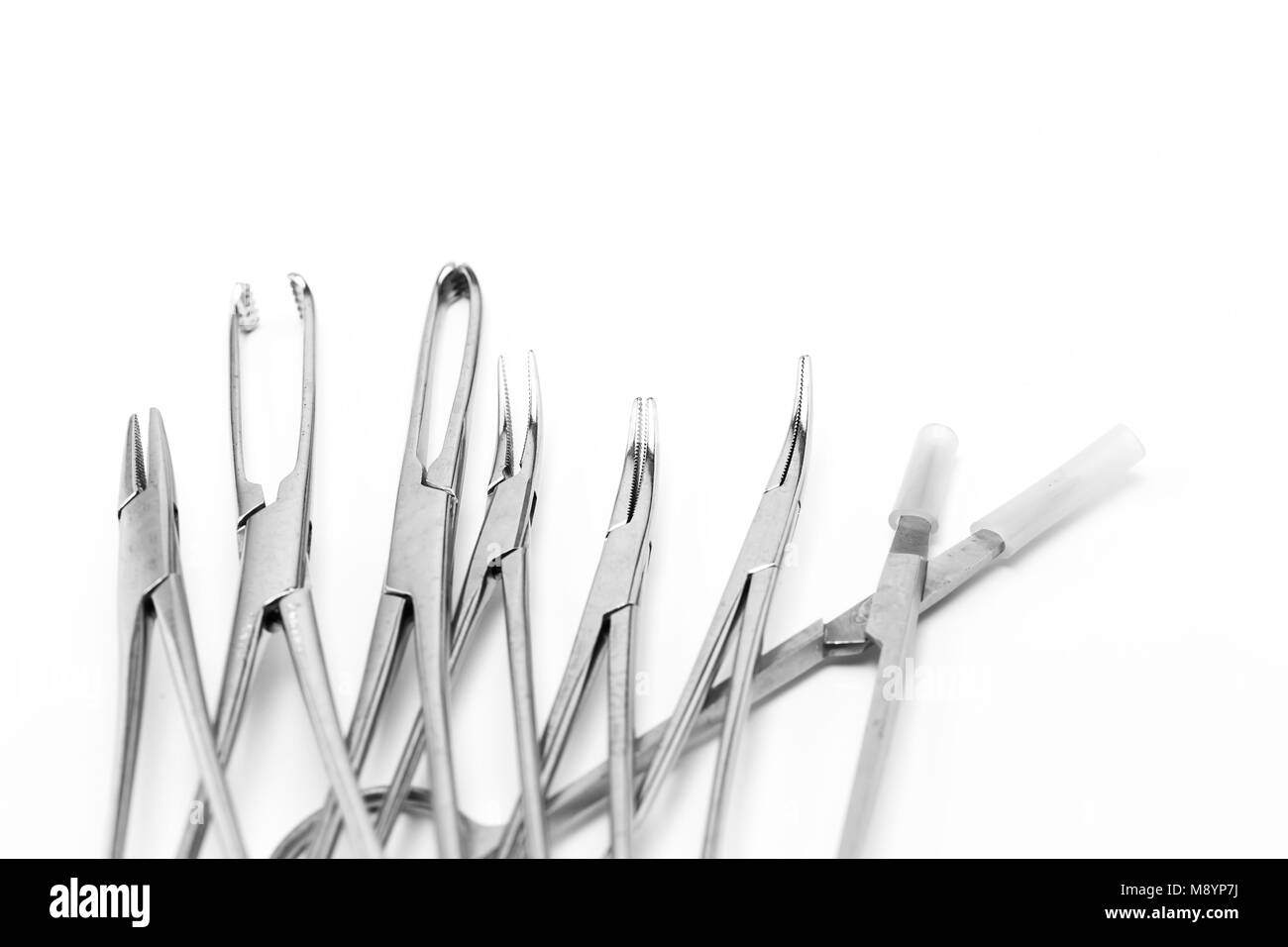 Medizinische chirurgische Zangen Instrument auf weißem Hintergrund Stockfoto