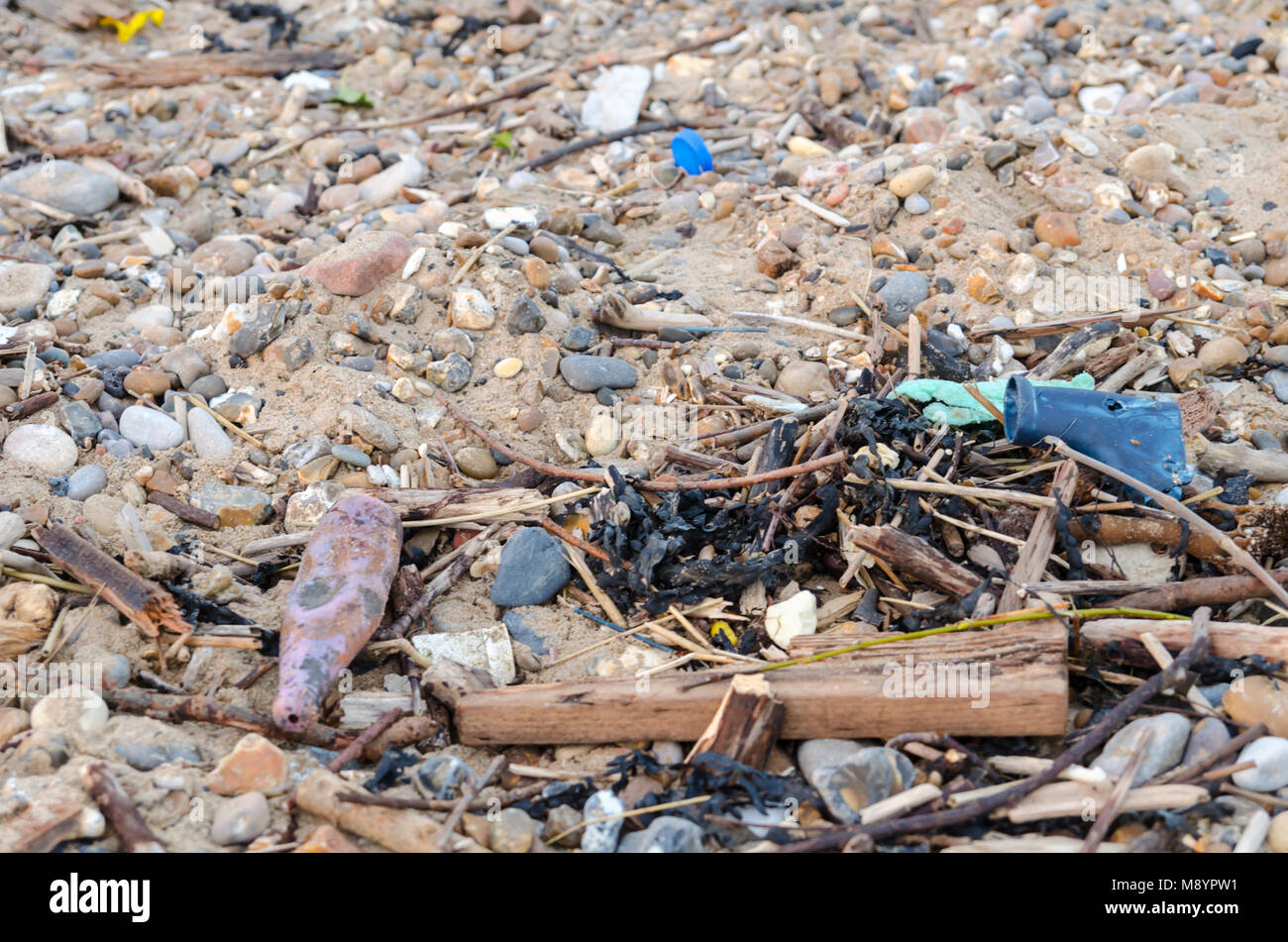 Strand Kunststoff und Treibholz gewaschen Auf Roker Strand, Roker, Sunderland Stockfoto