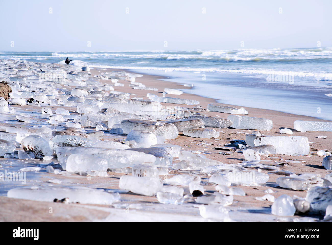 Gefrorene Eis (Schmuck Ice) von tokachi River gewaschen in Otsu Küste bei Toyokoro, Hokkaido, Japan, im Winter Stockfoto