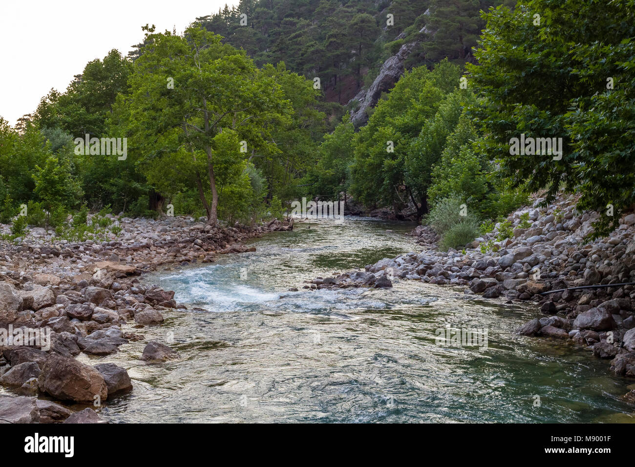Typischer Lebensraum der Türkischen Fish-Owl im Taurusgebirge. Stockfoto