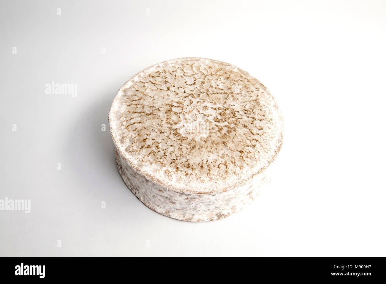 Caerphilly ein Hartkäse, der auf den Britischen Inseln hergestellt wurde und ursprünglich in Wales hergestellt wurde Stockfoto