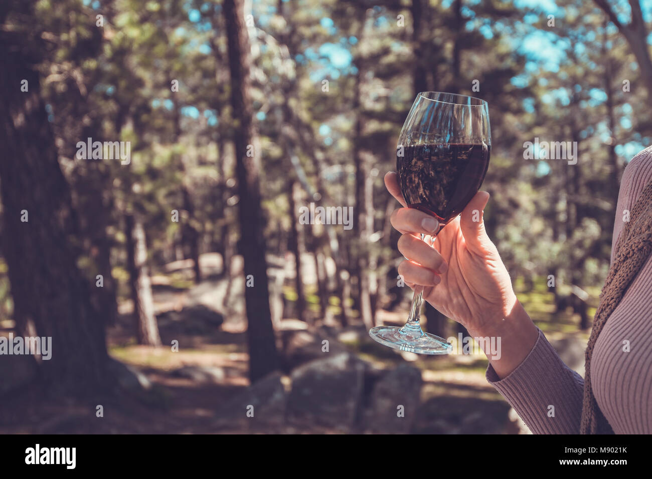 Frau mit einem Glas Wein bei einem Picknick im Wald Stockfoto