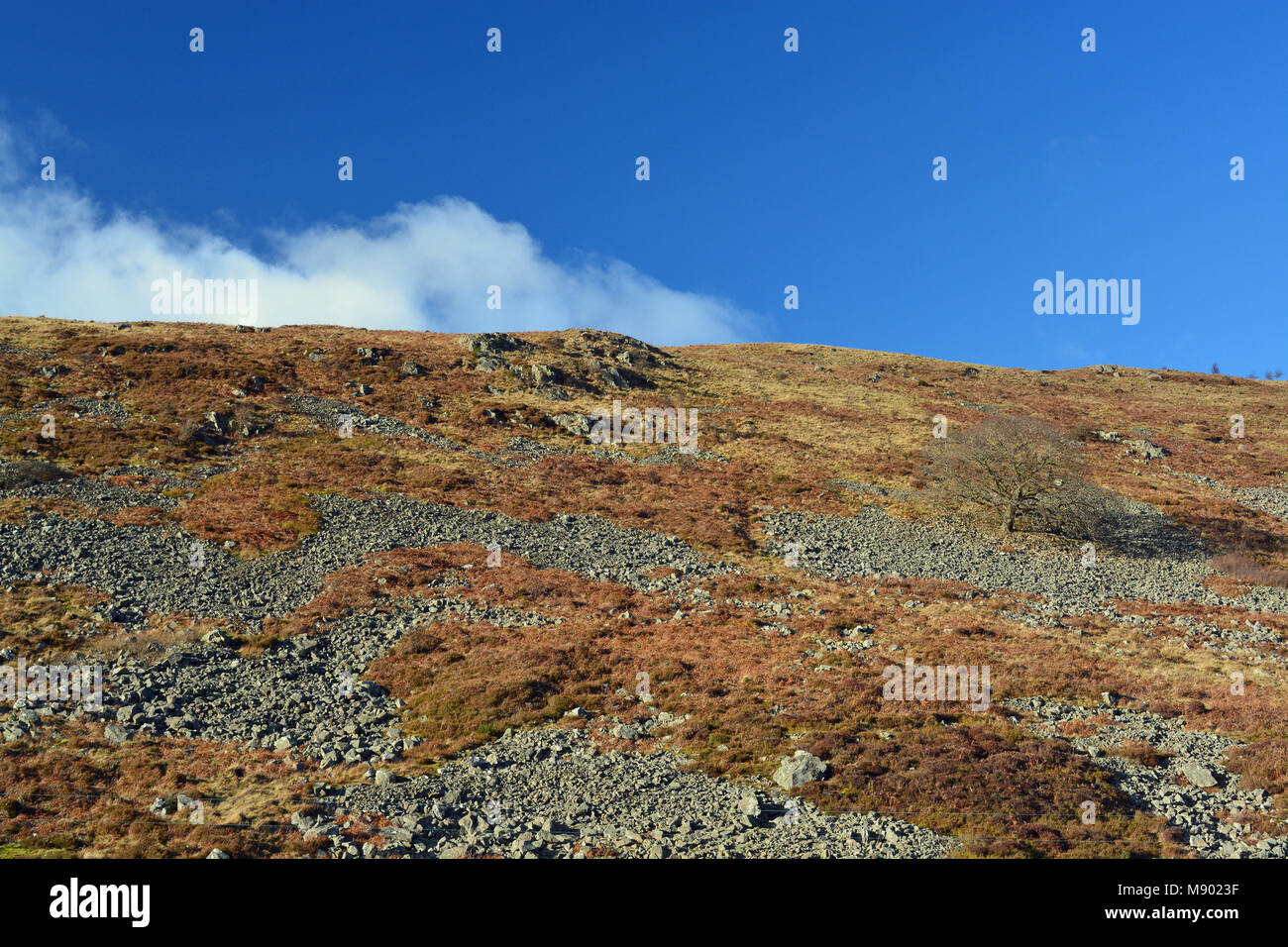 Harthope Tal, Blockschutthalden Stockfoto
