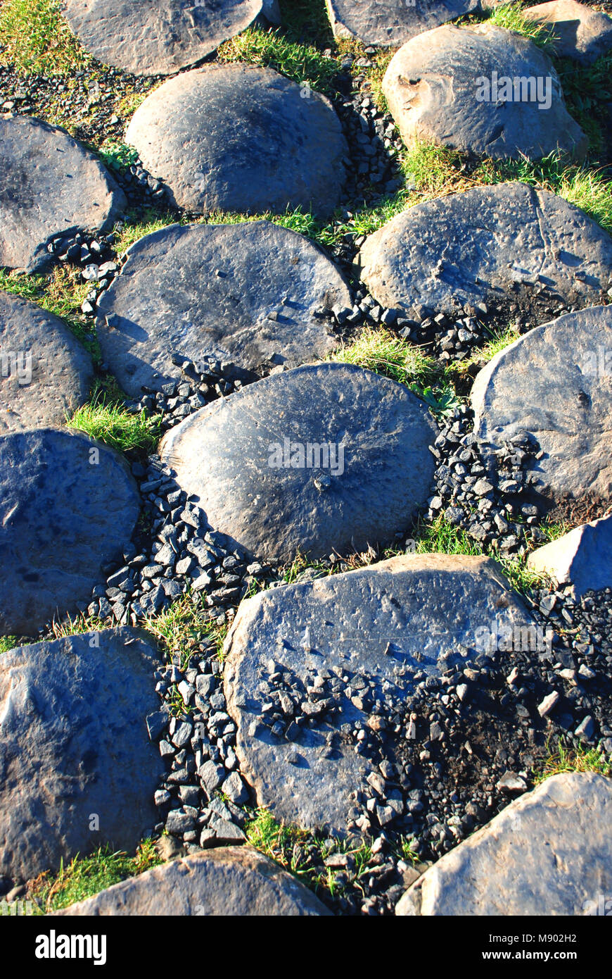 Basaltsteine in Giant's Causeway, County Antrim, Nordirland, Großbritannien Stockfoto