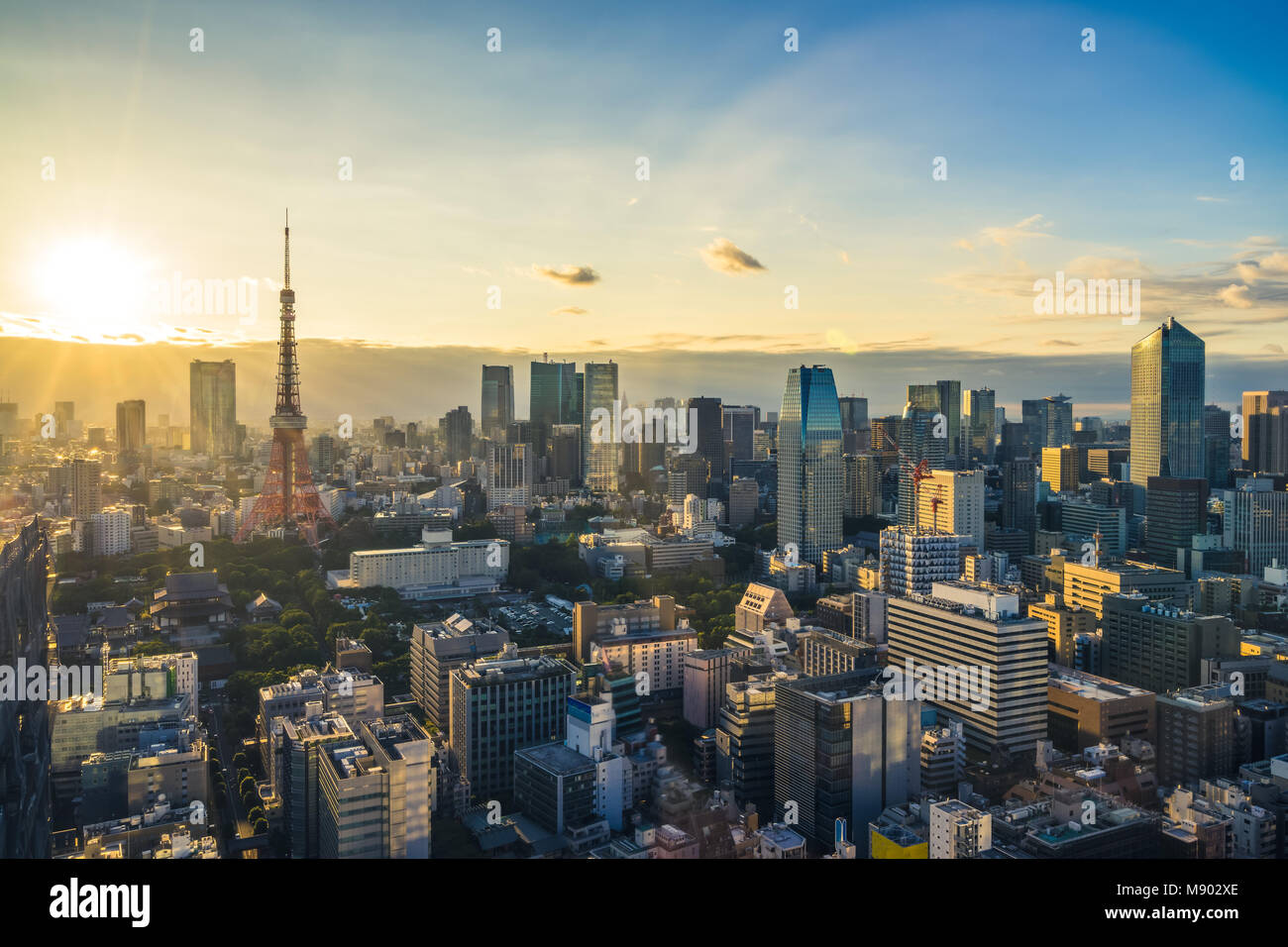 Luftaufnahme der Stadt Tokio, Japan Stockfoto