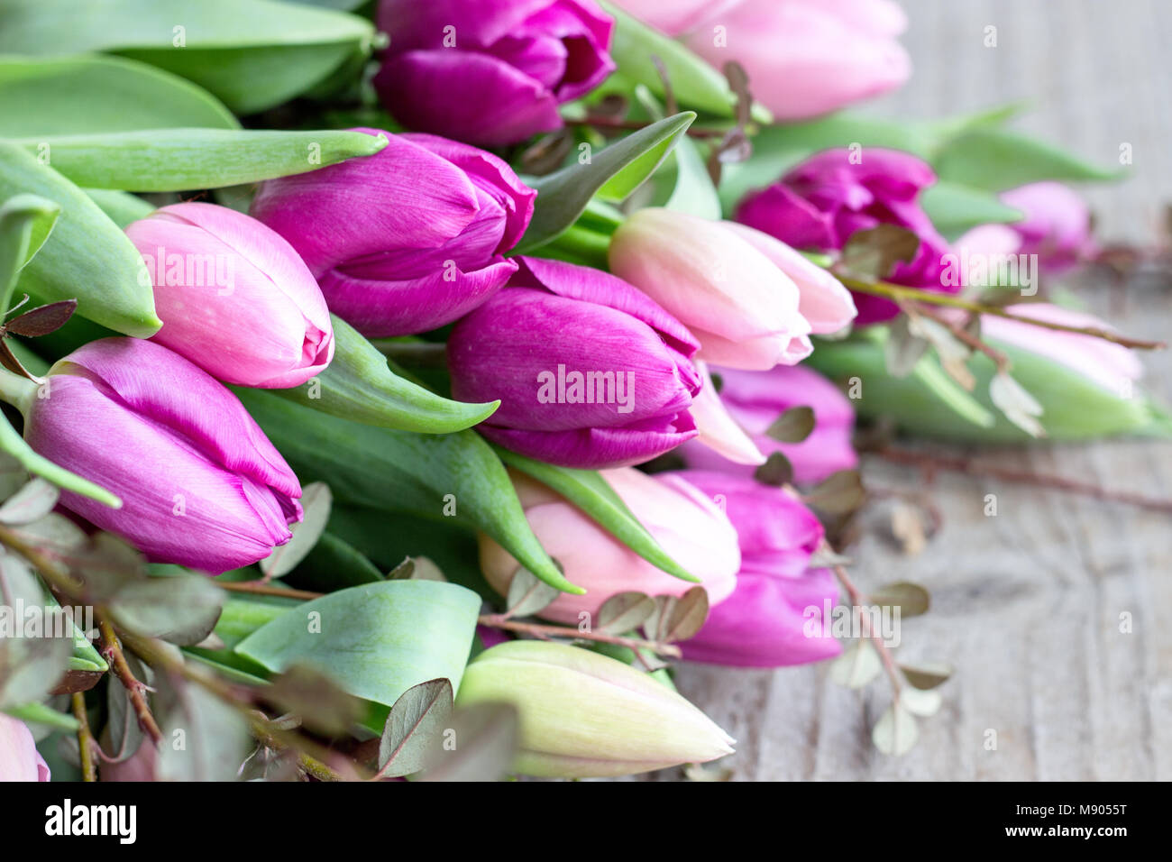 Schönen Blumenstrauß rosa und violett Tulpen auf einer hölzernen Hintergrund Stockfoto