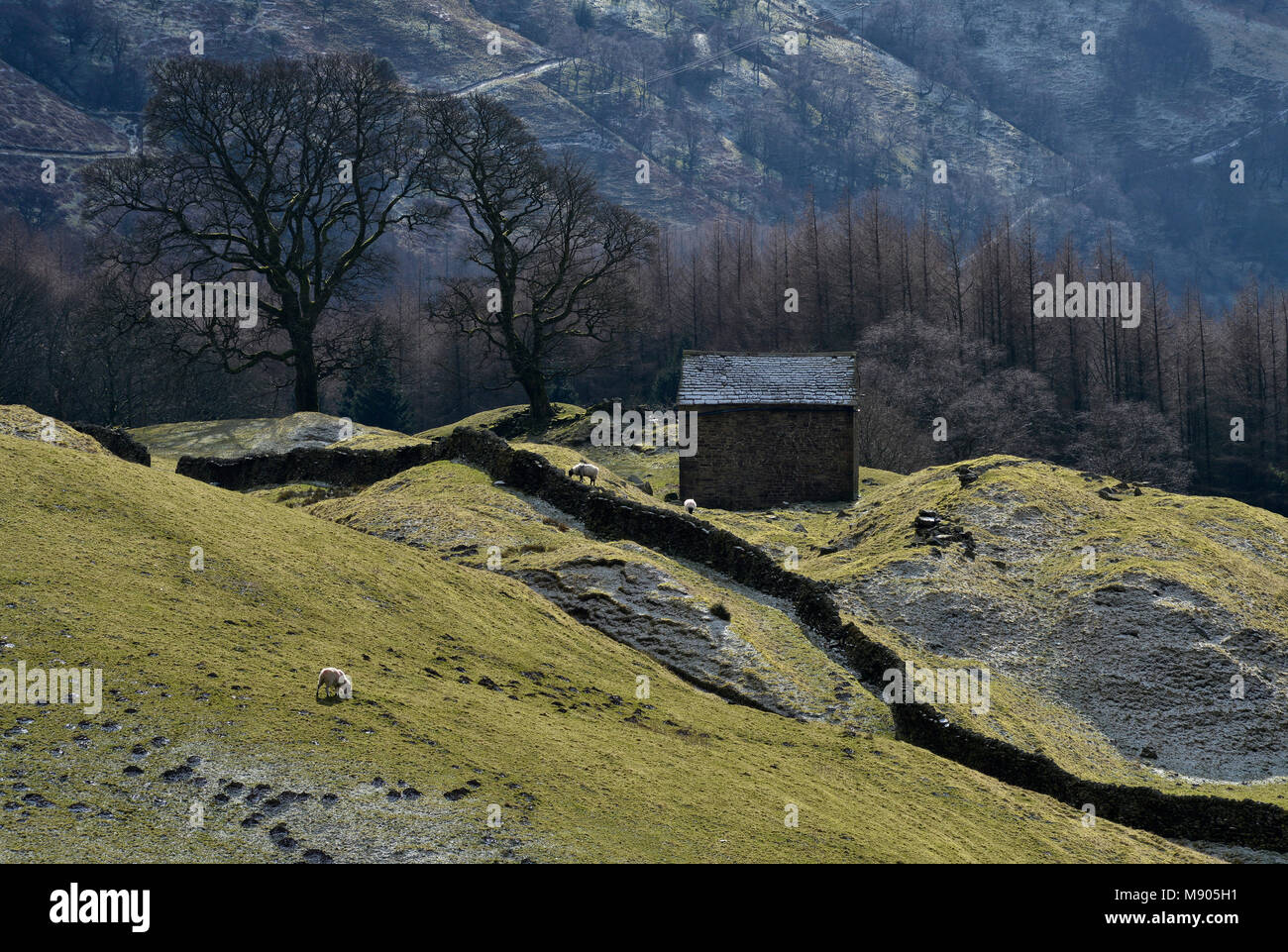 Bell Hagg Scheune, der Peak District, England (9) Stockfoto