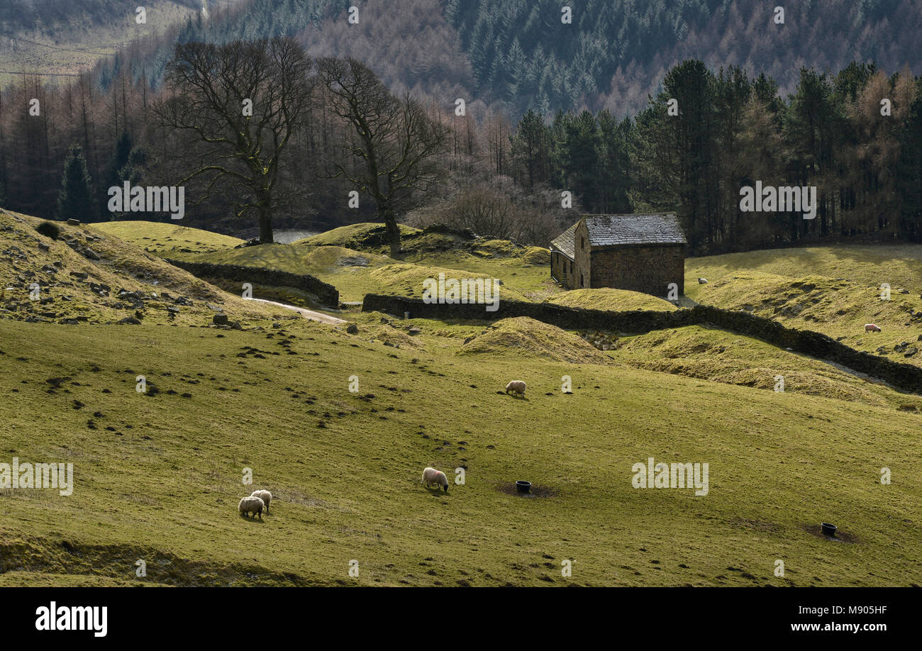 Bell Hagg Scheune, der Peak District, England (13) Stockfoto