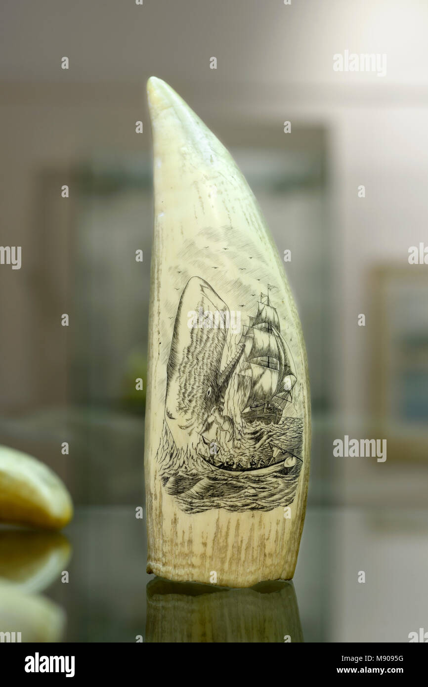 Scrimshaw (pottwal Zahn) Kupferstich von Machado Oliveira. Museu dos Baleeiros (walfänger Museum), Lages do Pico Pico. Azoren, Portugal Stockfoto