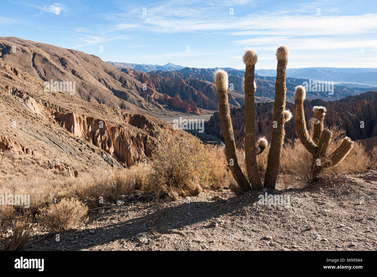 El Sillar Pass in der Nähe von Tupiza, Landschaft rund um die Quebrada de Palala Tal mit Erodierten spiky Felsformationen - Bolivien, Südamerika. Stockfoto