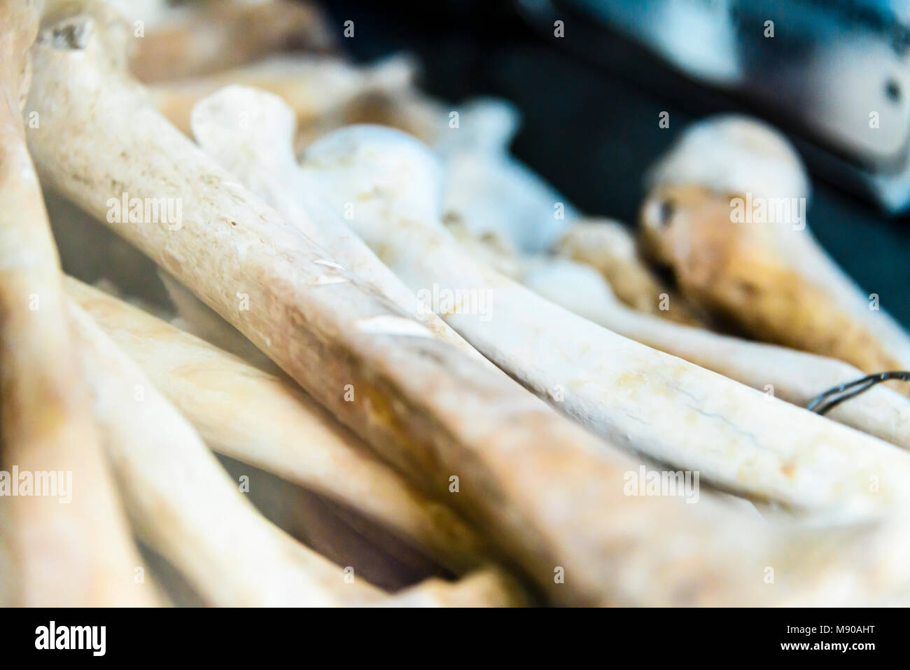 Bein und Arm Knochen zeigt Schnittmarken von Macheten und Schwerter, im Inneren der Gedenkstätte Stupa für die Opfer. Choeung Ek Killing Fields Völkermord Center, Phnom Penh, Kambodscha, wo Zehntausende kambodschanische Volk von der Khymer Rouge im Auftrag von Pol Pot von 1975-1979 getötet wurden. Stockfoto