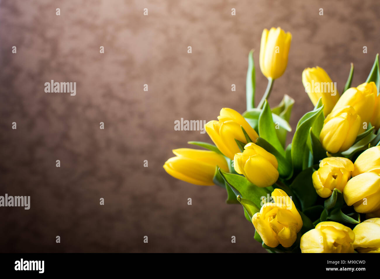 Gelbe Tulpen auf dem schwarzen Hintergrund. Flach, Ansicht von oben. Valentines Hintergrund. Horizontale, Breitbildformat, getönt Stockfoto