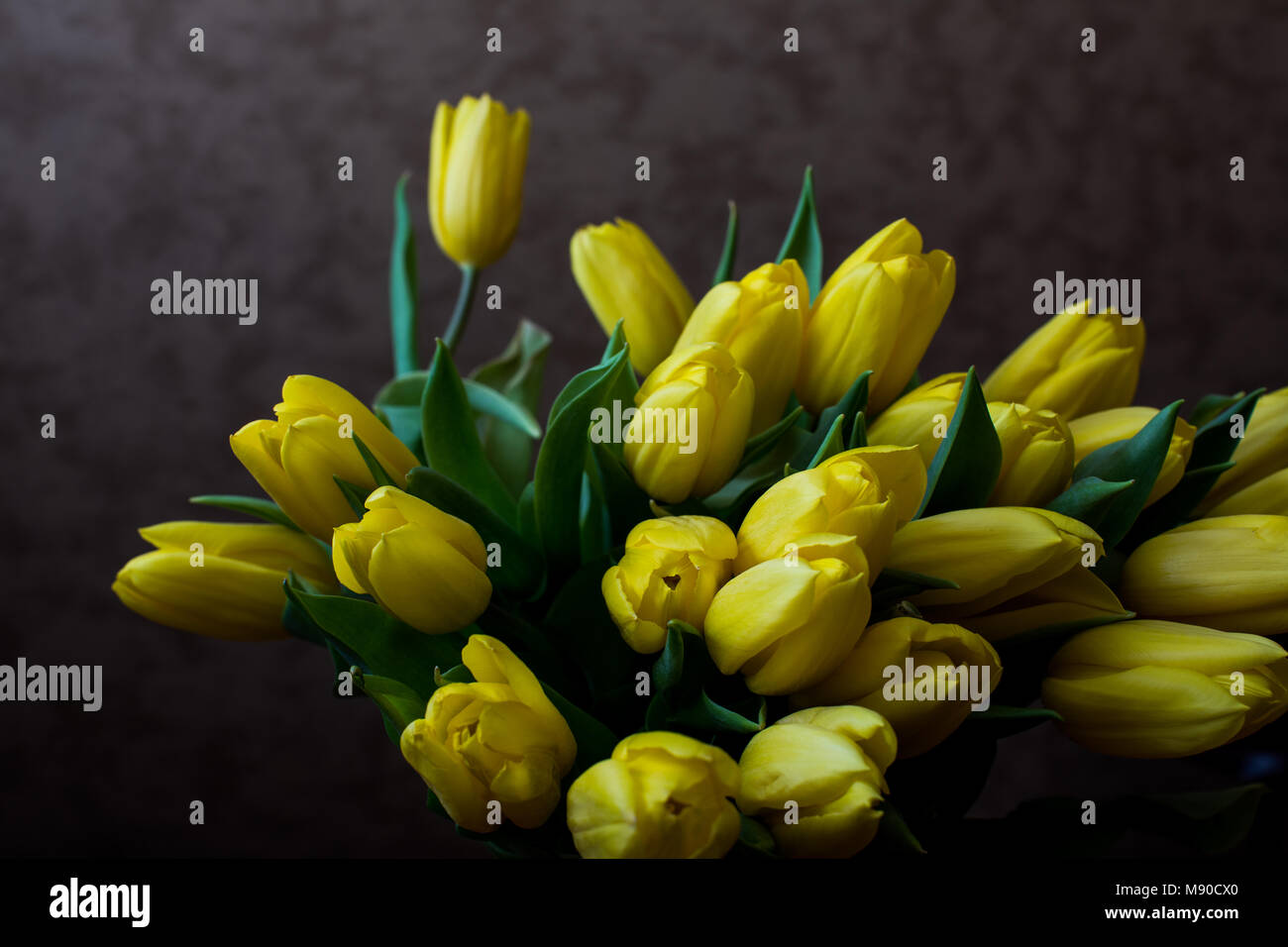 Gelbe Tulpen auf dem schwarzen Hintergrund. Flach, Ansicht von oben. Valentines Hintergrund. Horizontale, Breitbildformat, getönt Stockfoto