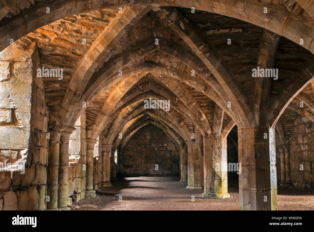 Gewölbte Kammern des Frater undercroft an Finchale Priory in Nord-Ost-England Stockfoto