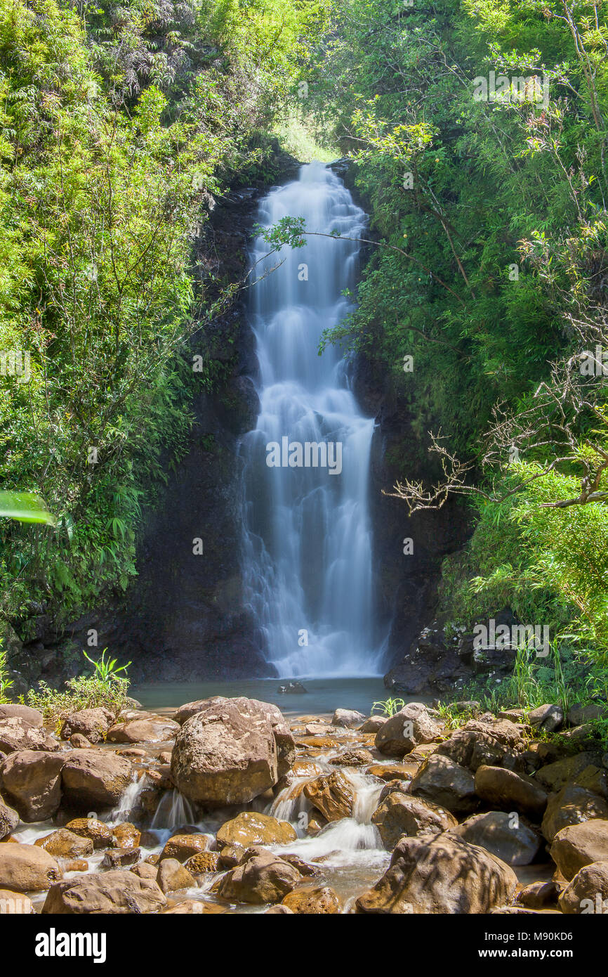 Ein Wasserfall in einem Bambus Wald entlang der Strasse nach Hana, Maui, Hawaii. Stockfoto