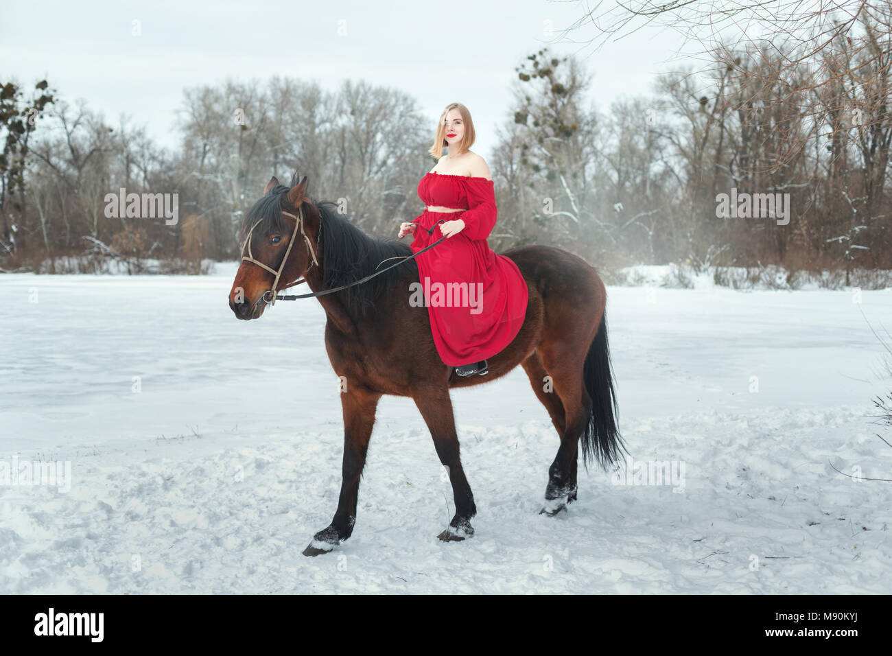 Portrait einer jungen blonden Frau reiten ein Pferd in einem Winter Park. Stockfoto