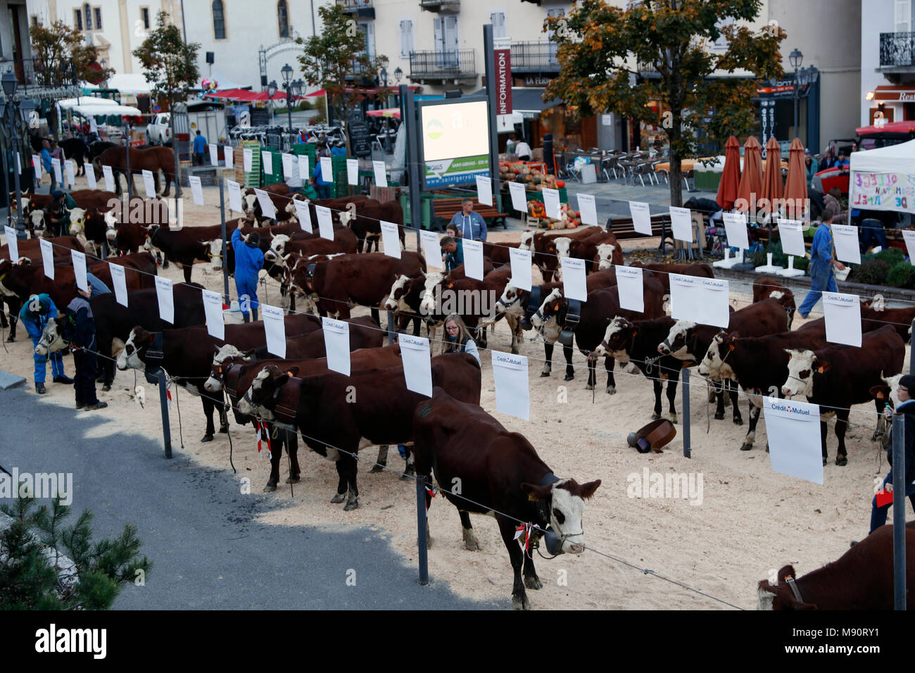 Die Landwirtschaft fair (Comice Agricole) von Saint-Gervais-les-Bains. Stockfoto