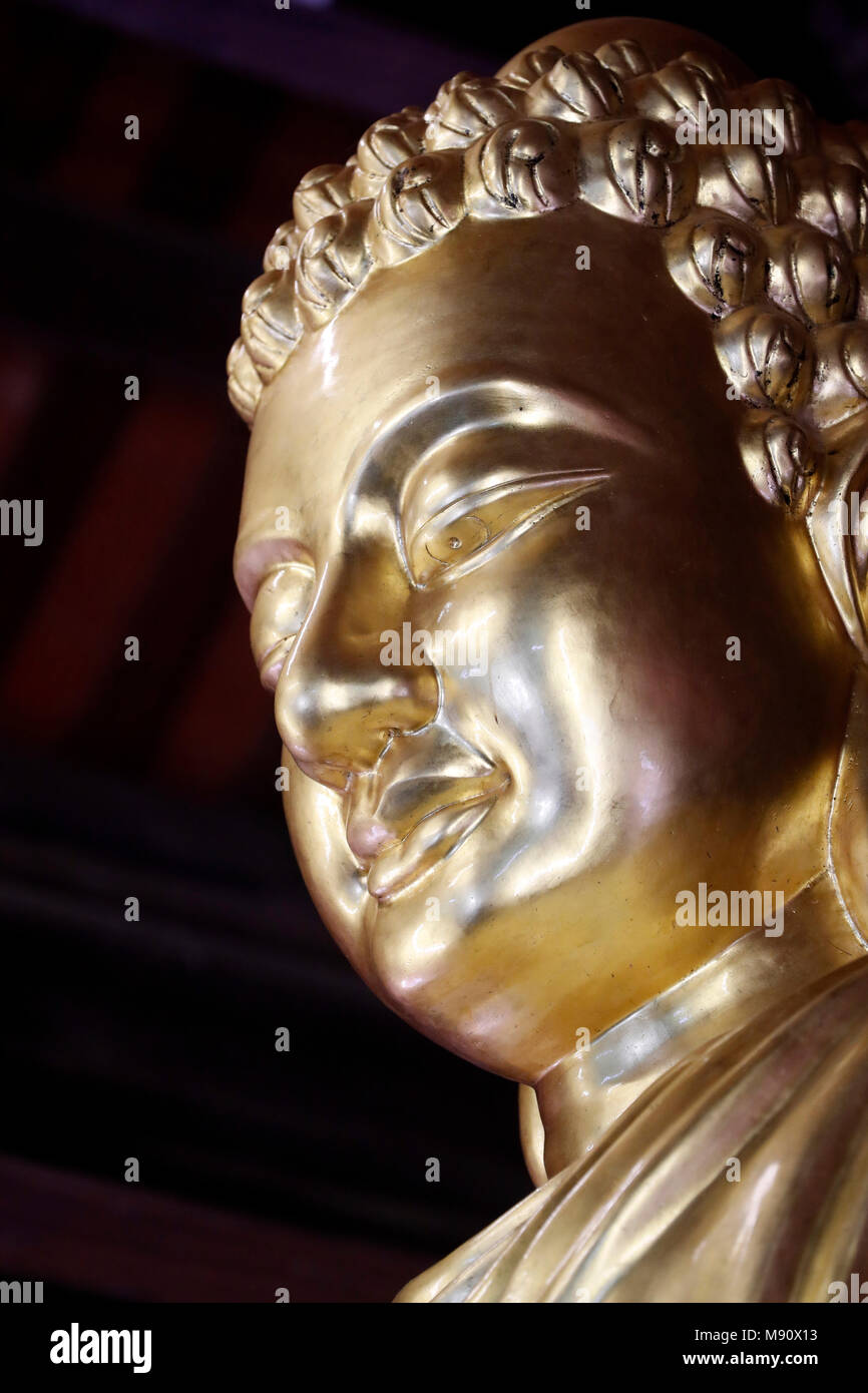 Chua Ho Quoc Pagode. Golden Buddha Shakyamuni Statue. Phu Quoc. Vietnam. Stockfoto