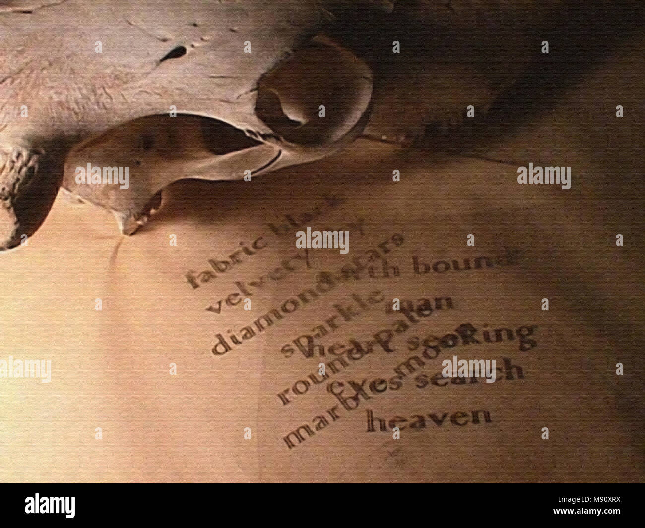 Kuh Schadel Und Romantischen Worte Stockfotografie Alamy