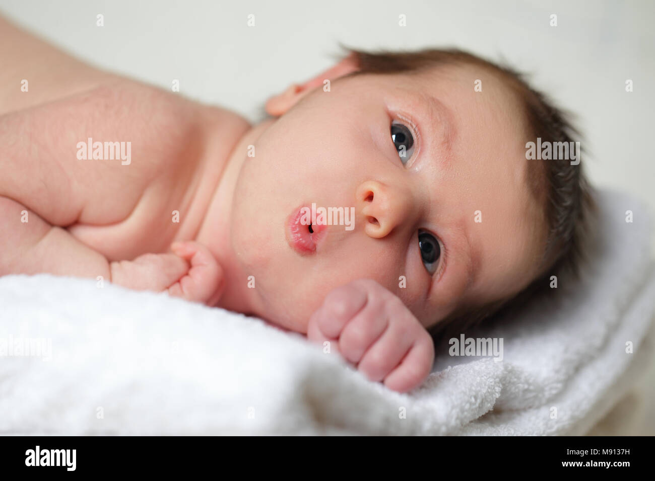 Baby - Neugeborenes träumen (20 Tage alt) Stockfoto