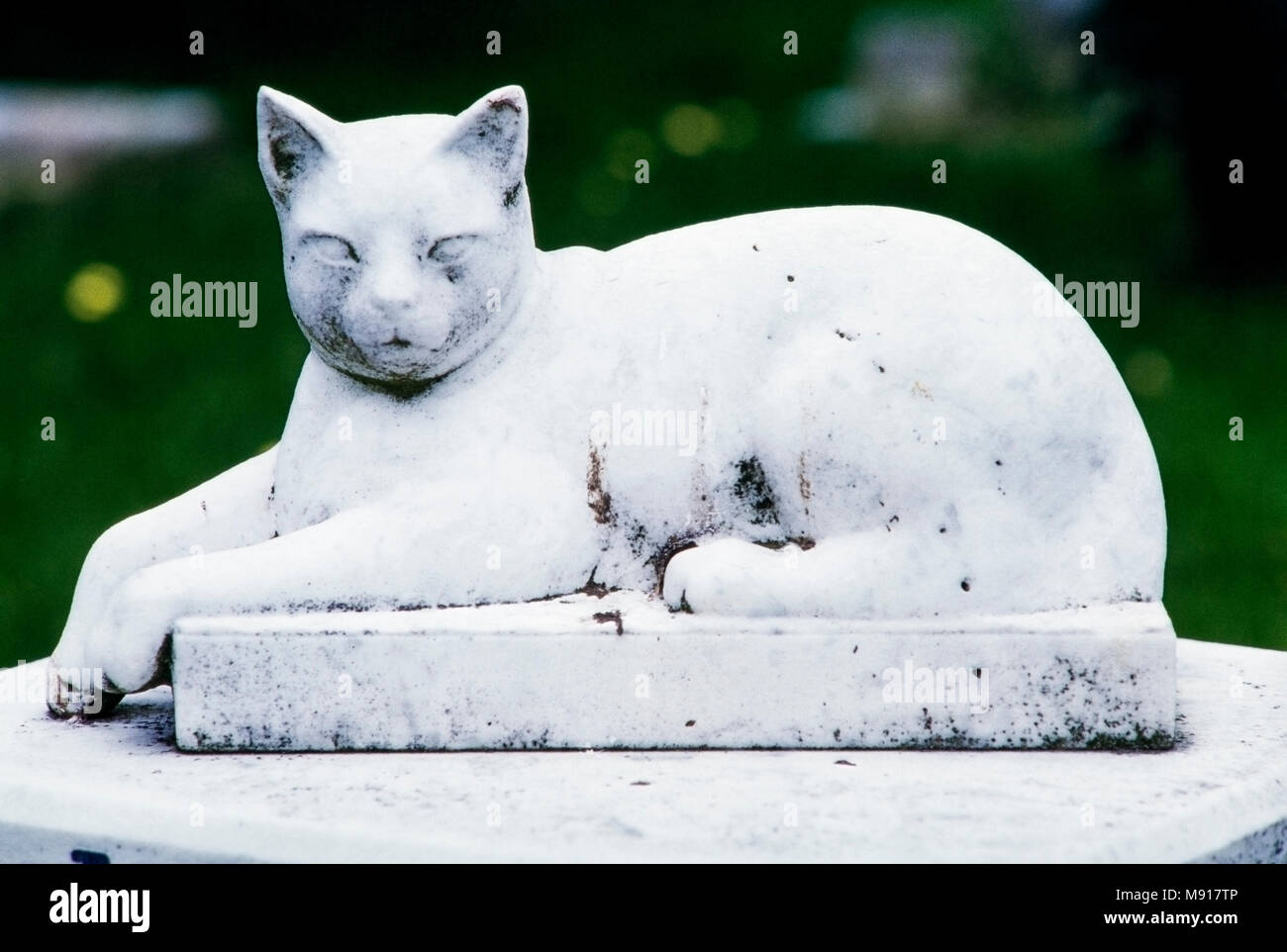 Stein Cat Statue grab Marker, Archivierung Foto 1987, Ilford Haustier Friedhof, London, England Stockfoto