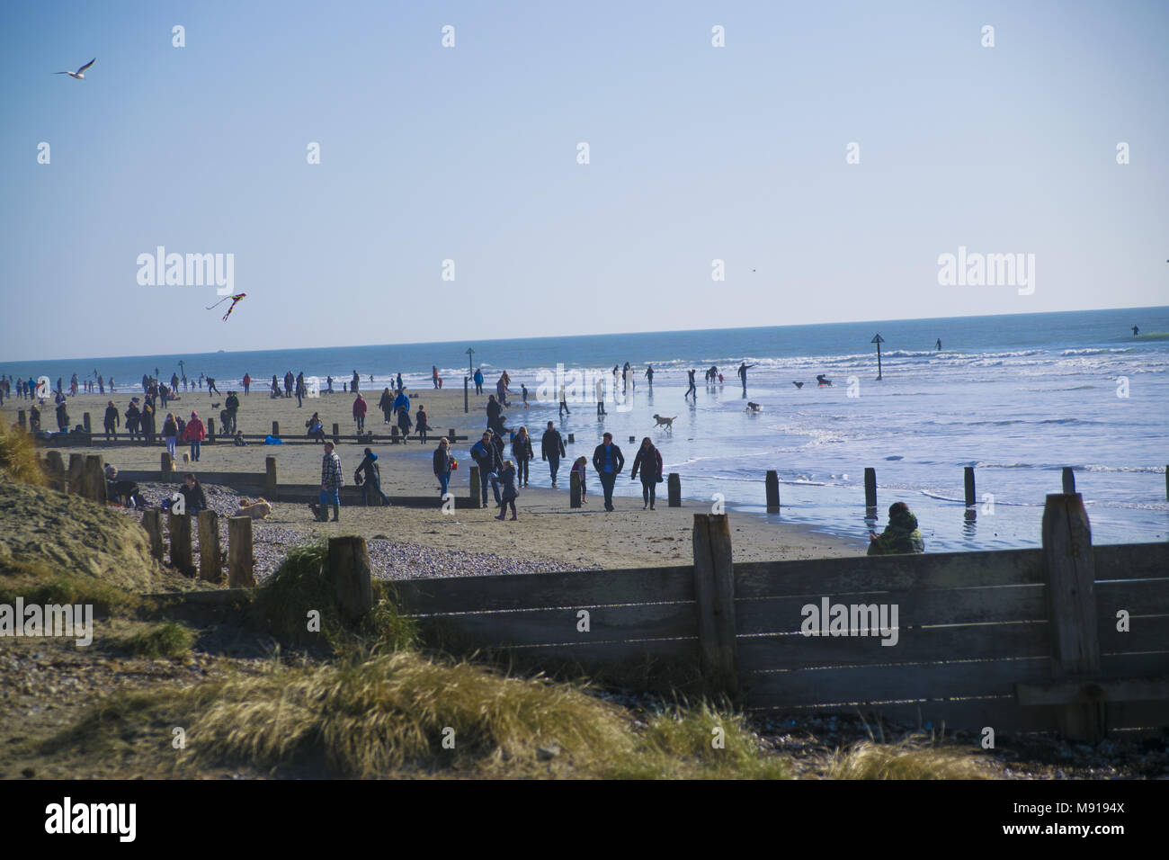 Familien, Wanderer und Surfer, wo alle heraus Kraft an der West Wittering sie glaubte, es war die Höhe der Sommer haben könnte. Aber in der Tat war es Mitte Februar und alle, abgesehen von den Surfern hatte es Winter Mäntel auf einschließlich der Hunde. Mit: Atmosphäre, wo: West Wittering, West Sussex, Großbritannien Wann: 17 Feb 2018 Credit: Paul Taylor/WENN.com Stockfoto