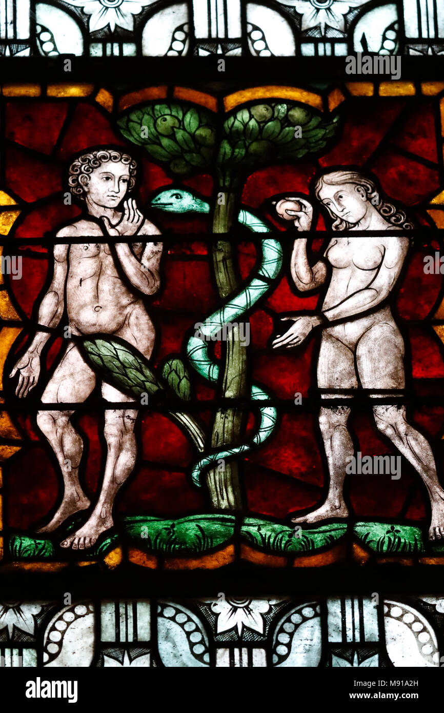 Saint-Pierre-Le-Jeune Evangelische Kirche. Garten Eden. Adam Und Eva. Die  Ursprüngliche Sünde. Glasfenster. Straßburg. Frankreich Stockfotografie -  Alamy