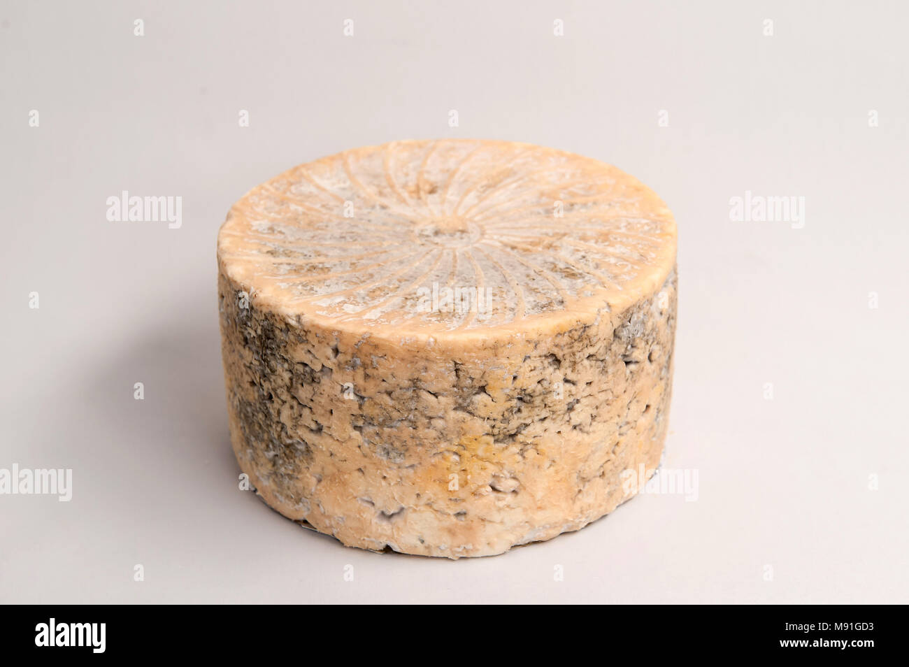 Schottischer blauer Käse Lanark Blue Stockfoto