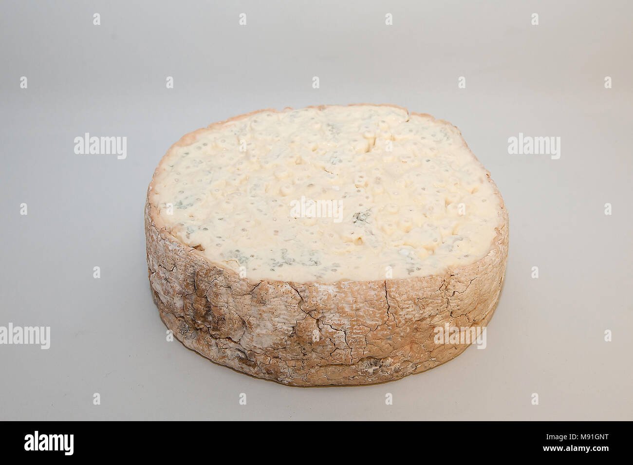 Gorgonzola Dolce Stockfoto