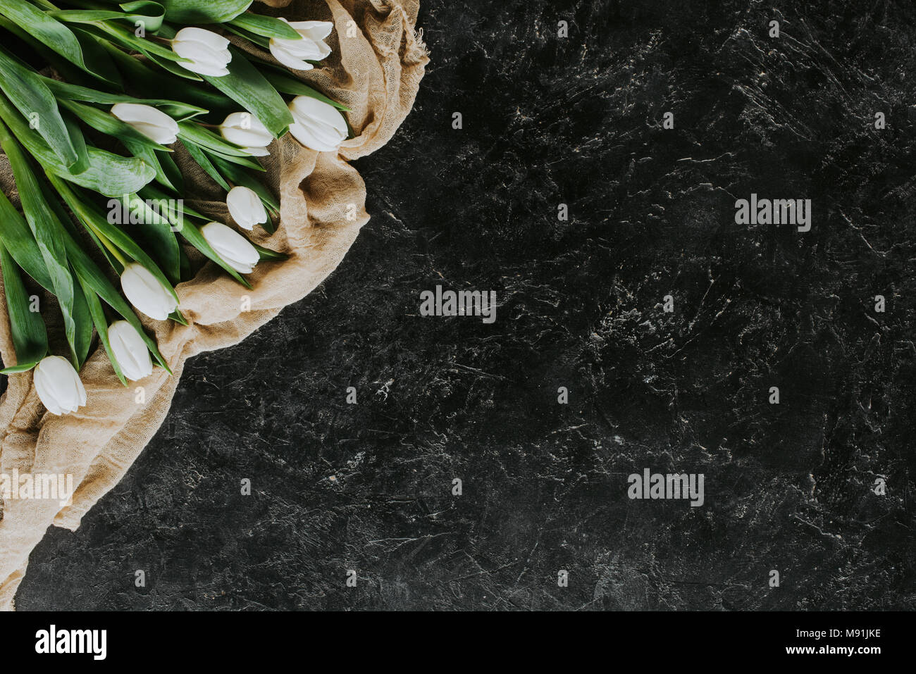 Blick von oben auf die White Tulip Blumen auf Tischdecke auf schwarze Oberfläche Stockfoto