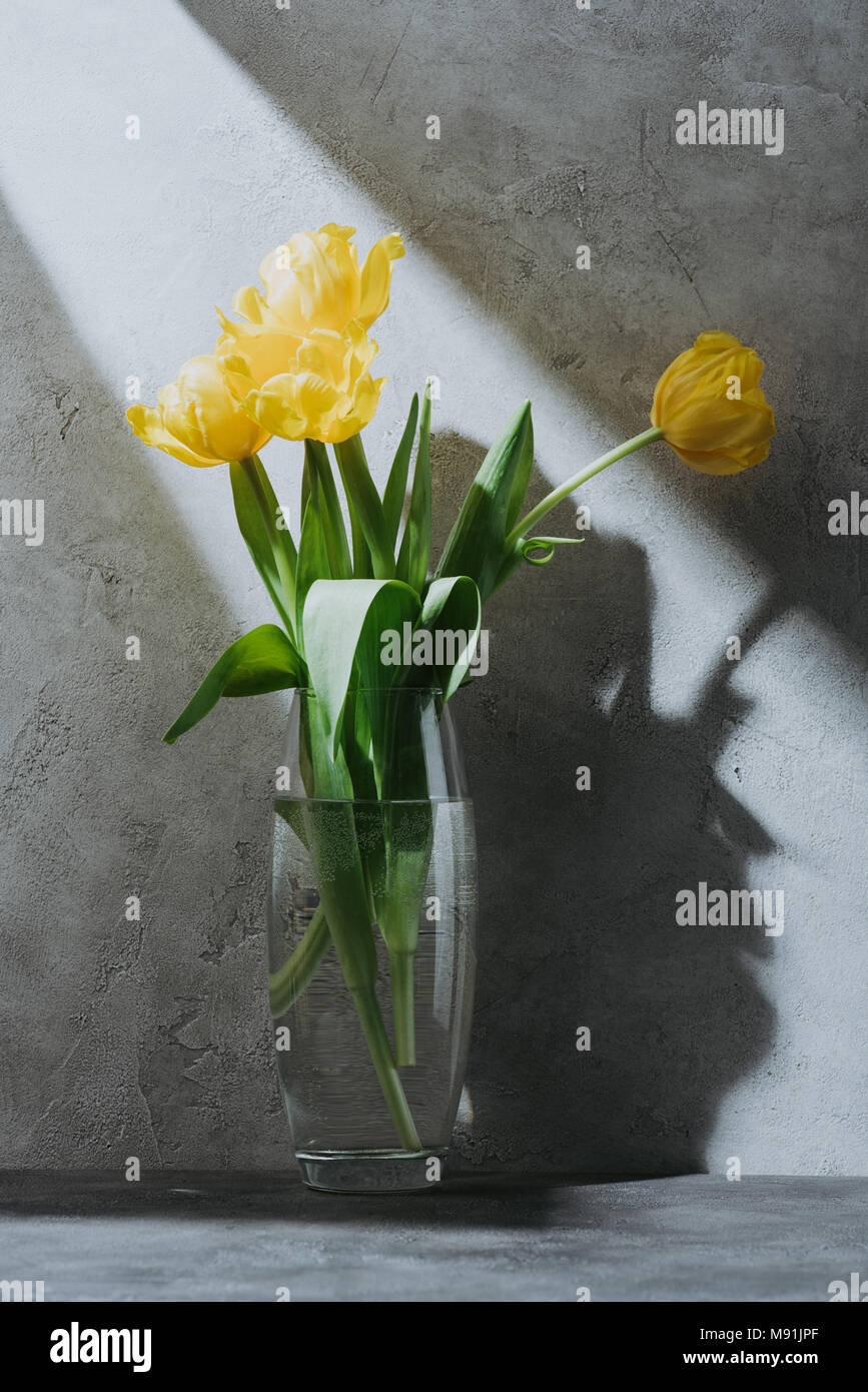 Gelbe Feder Blumenstrauß aus Tulpen im Glas Vase auf graue Oberfläche mit Schatten Stockfoto