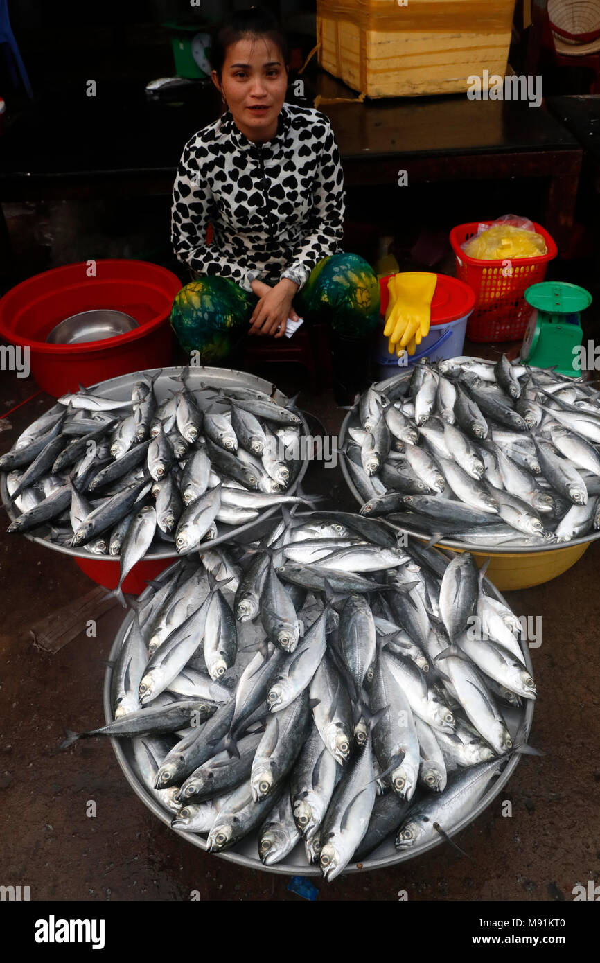 Morgen Markt in Duong Dong Stadt. Frau Verkauf von frischem Fisch. Phu Quoc. Vietnam. Stockfoto