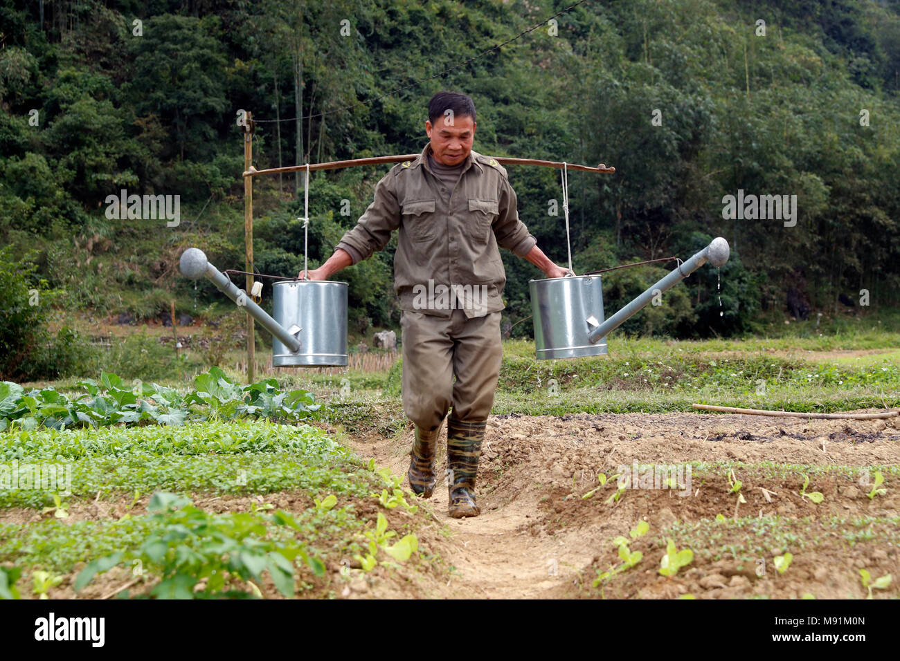 Das ländliche Leben. Landwirt Bewässerung Gemüse in das Feld ein. Bac Sohn. Vietnam. Stockfoto