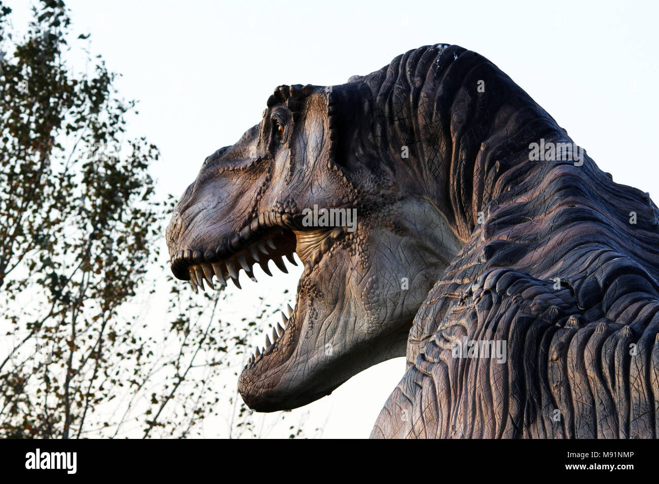 Suggestive Rekonstruktion von Predator dinosaurus - Ostellato, Ferrara, Italien Stockfoto